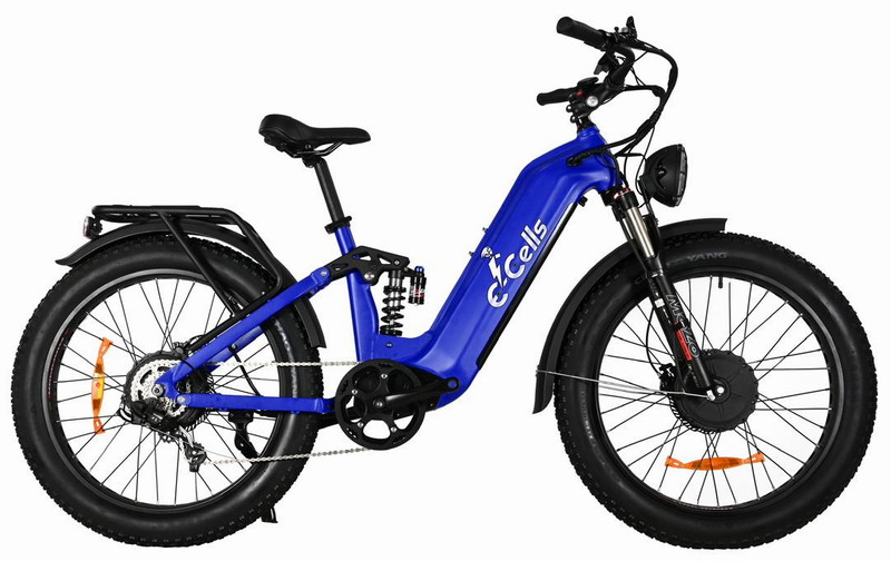 E-Cells Step Star.jpg