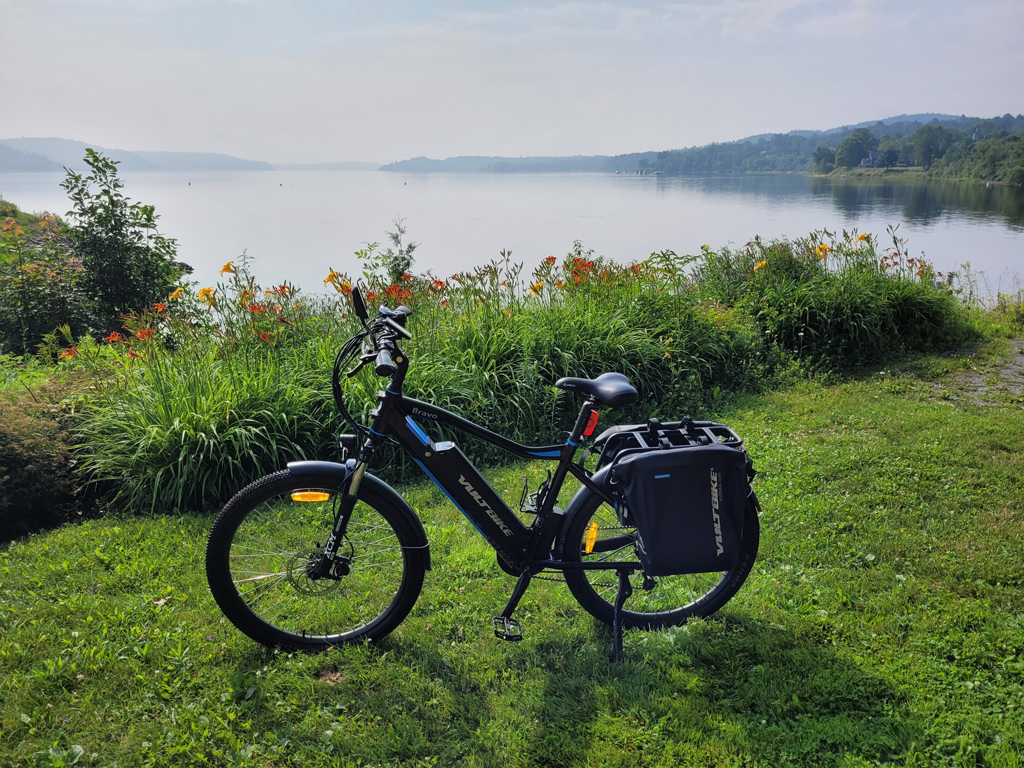 ebike-and-day-lillies.jpg