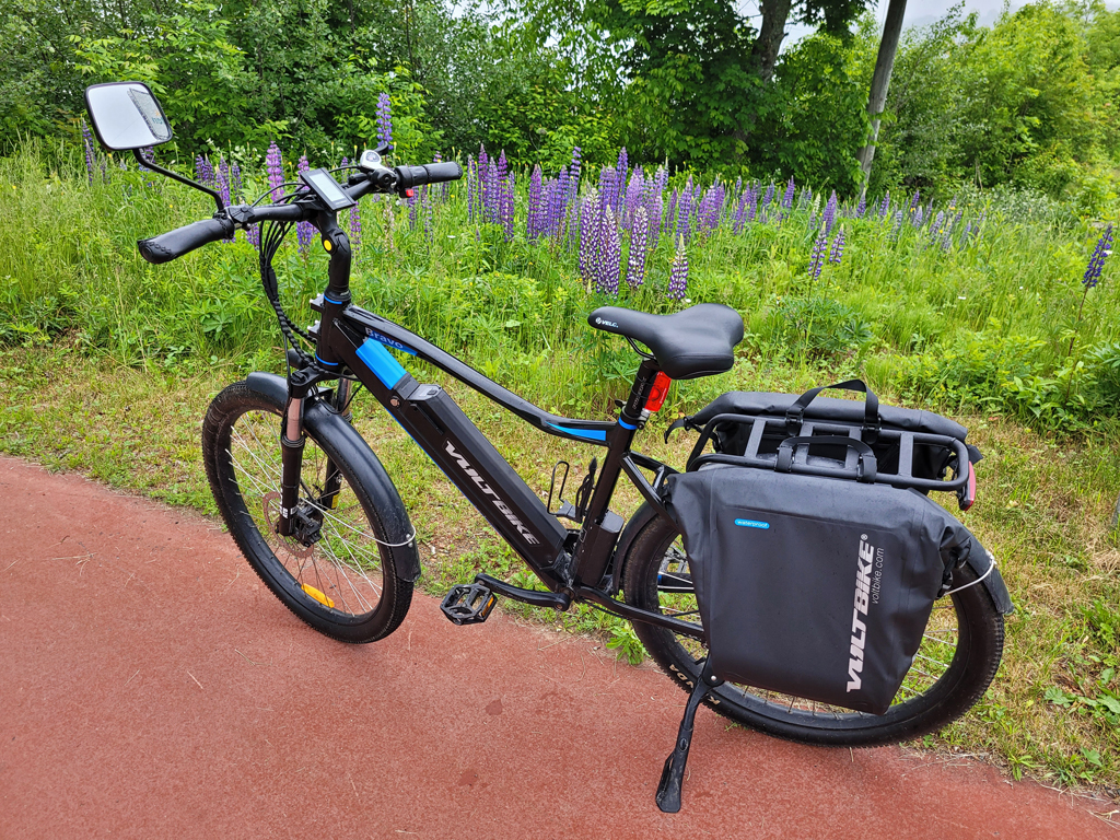 ebike-and-lupines.jpg
