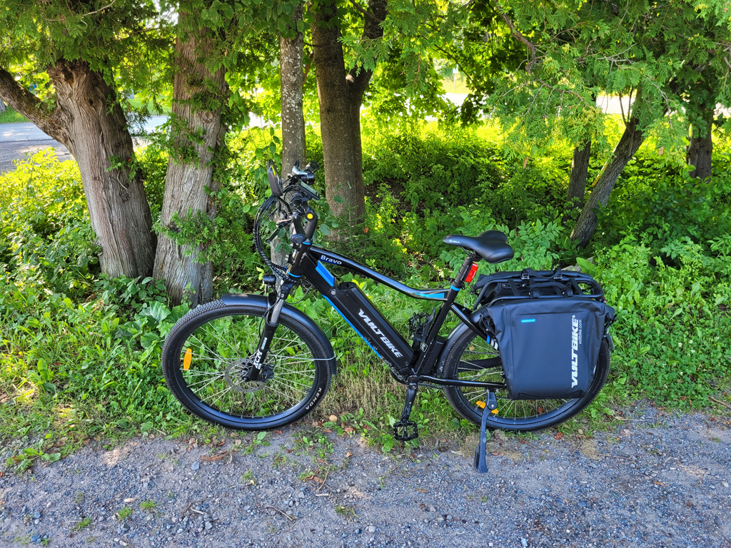 ebike-by-trees.jpg