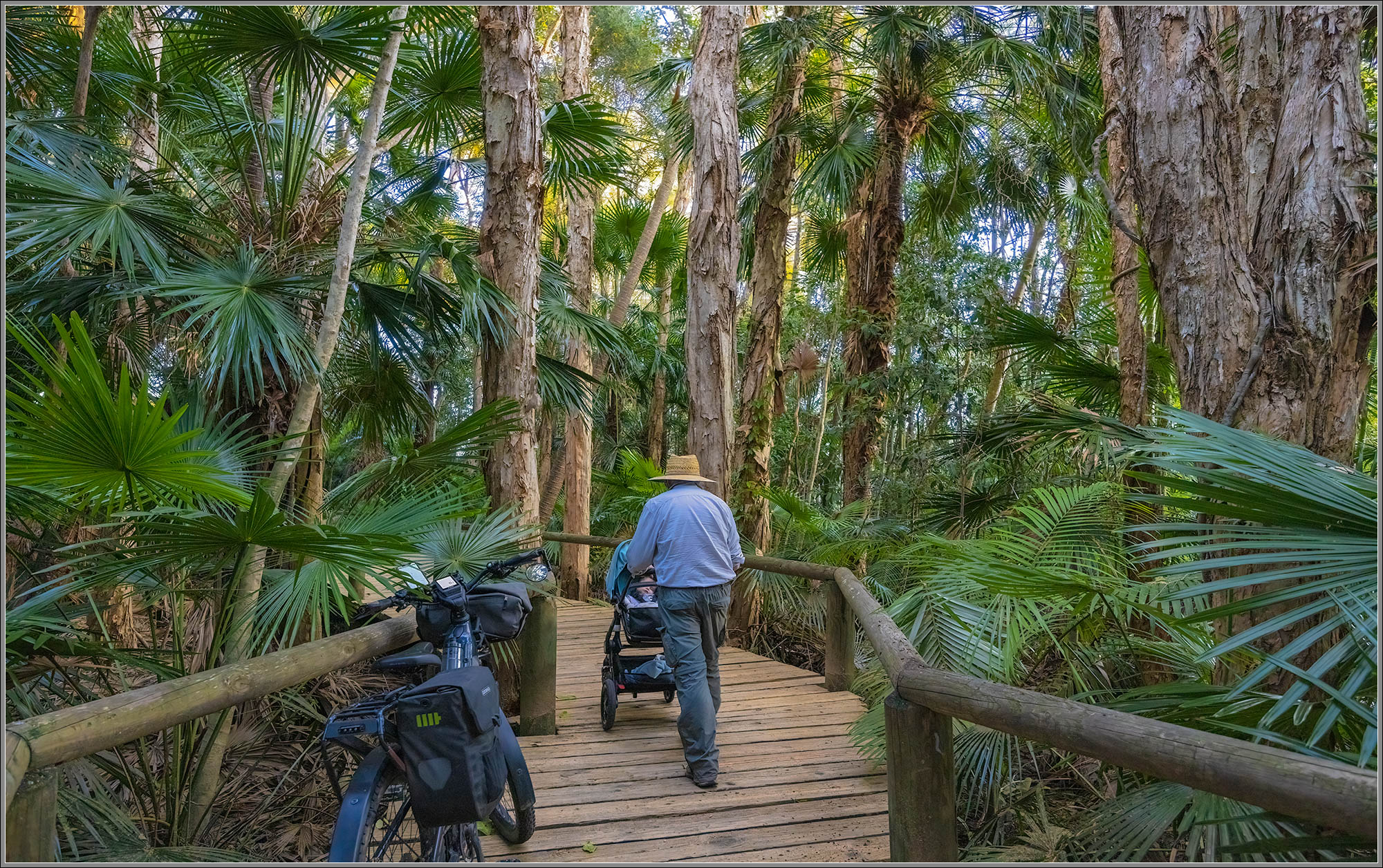 Douglas Park Boardwalk : Tewantin, Queensland