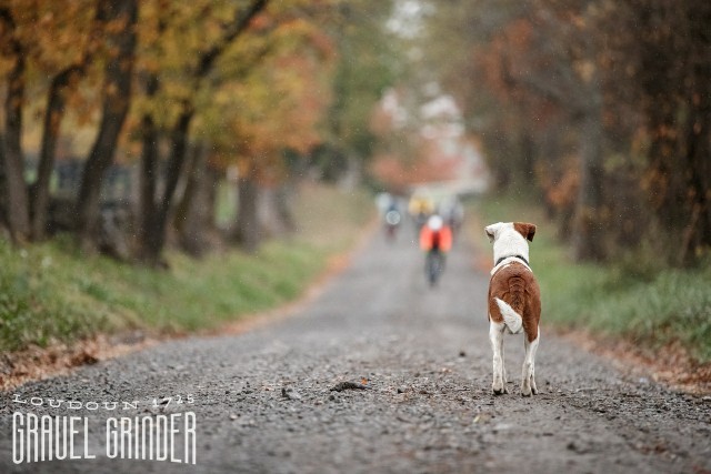 EX2_Loudoun_1725_Gravel_Grinder_Highlights-9-X2_copy_640x427.jpg