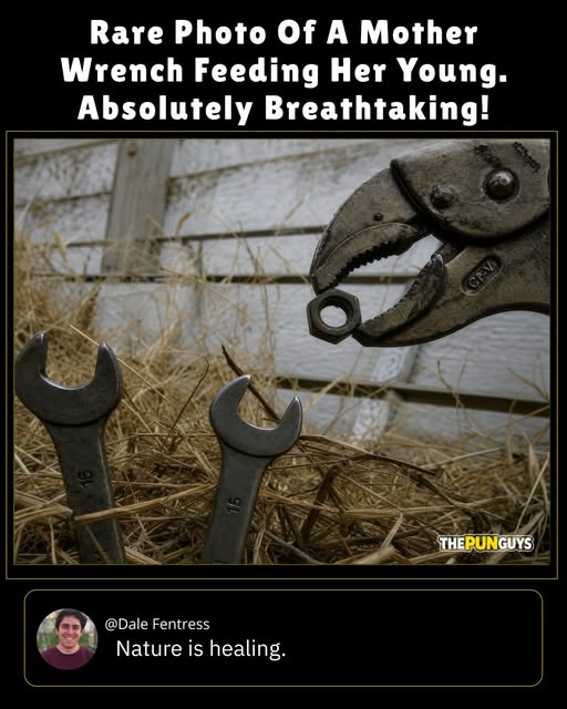 feeding-time.jpg