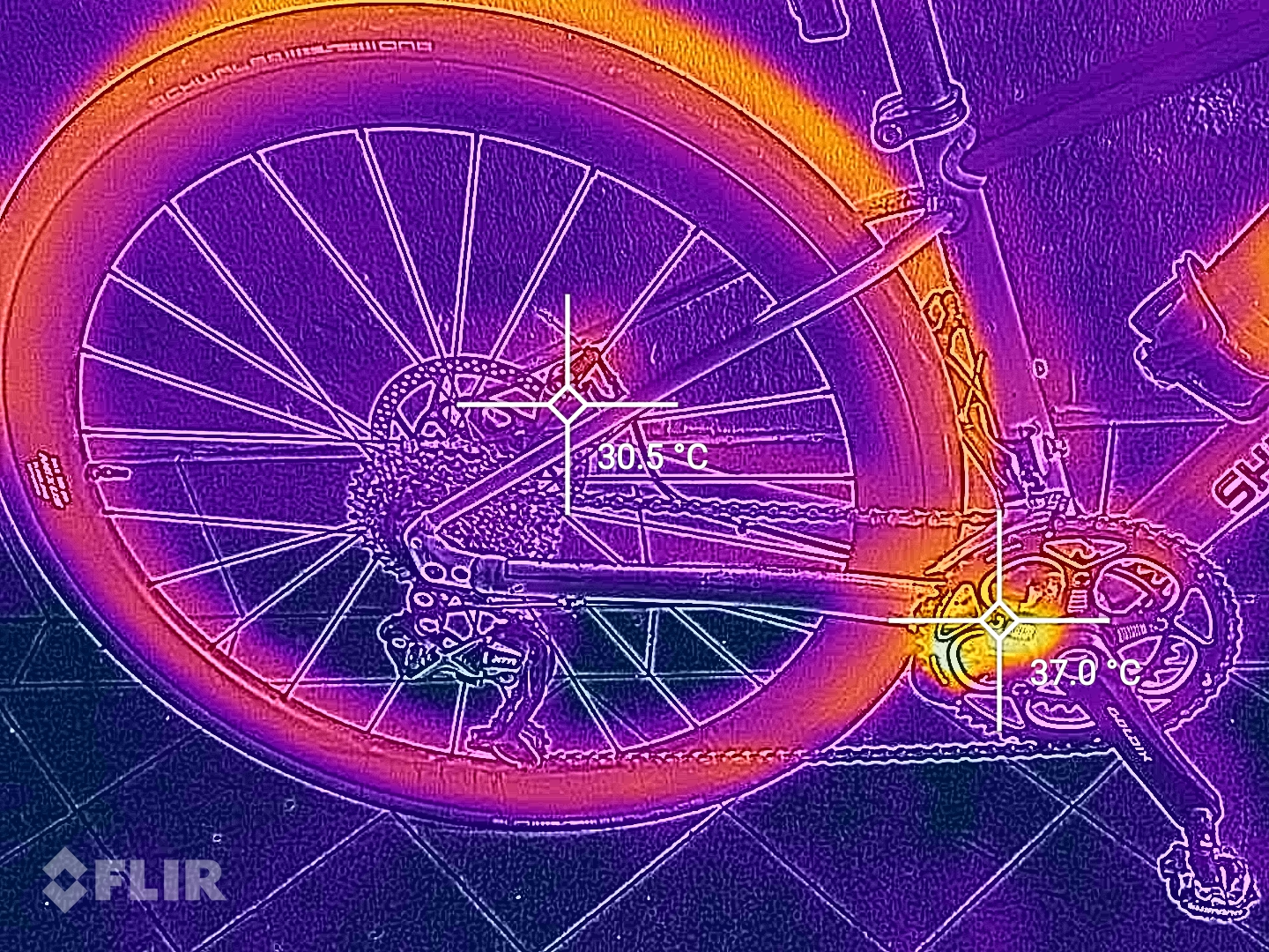 flir_20240827T173450.jpg