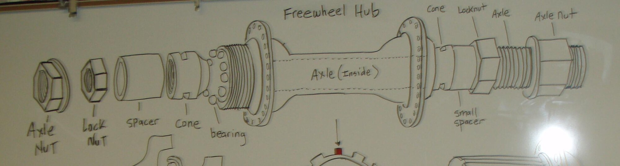 Freewheel Hub Sketch.jpg