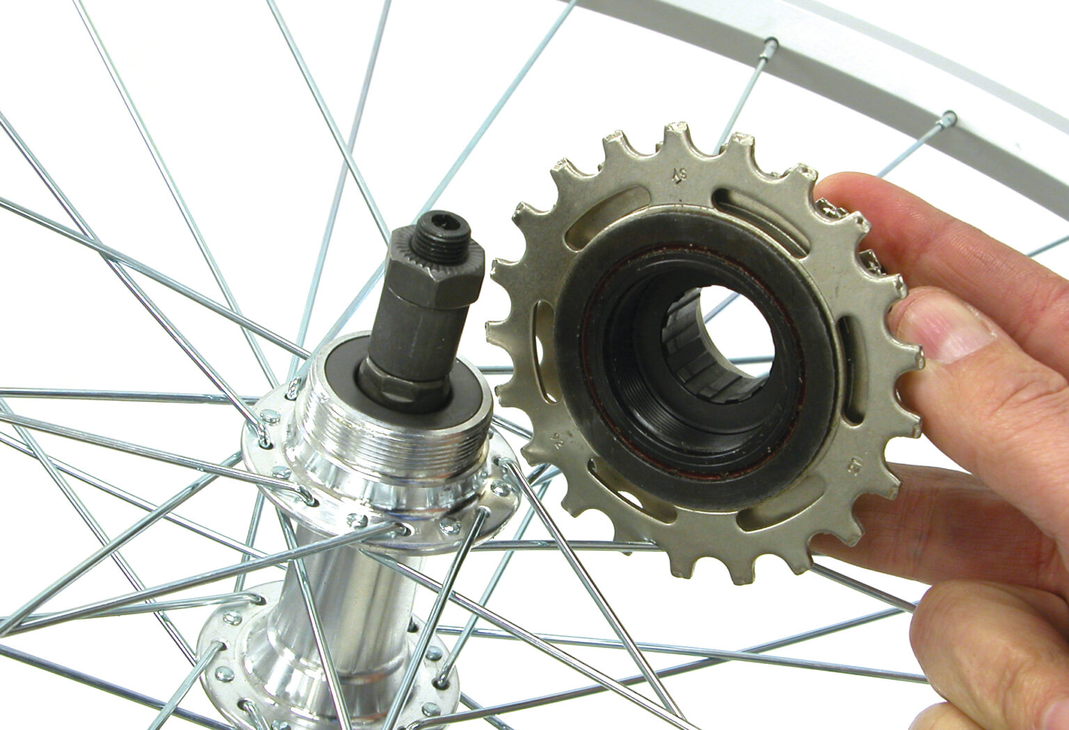 freewheels-for-bike-1536x1050-3806961599.jpg