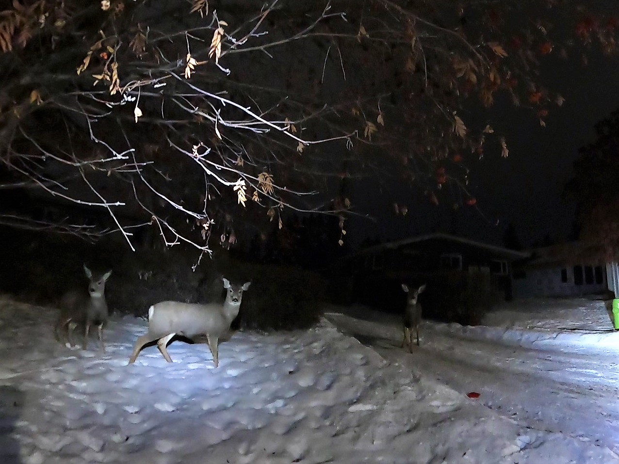 GH010489 - frame at 0m43s.jpg