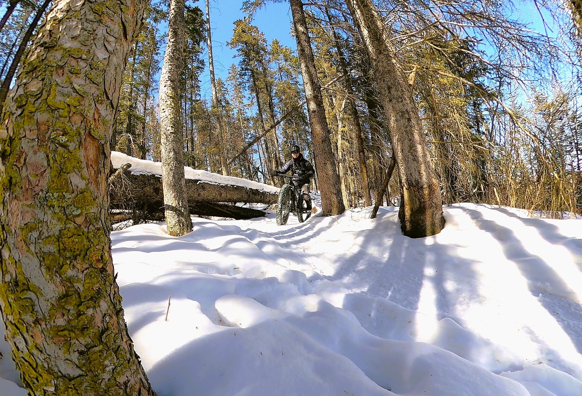 GH010715 - frame at 1m5s.jpg