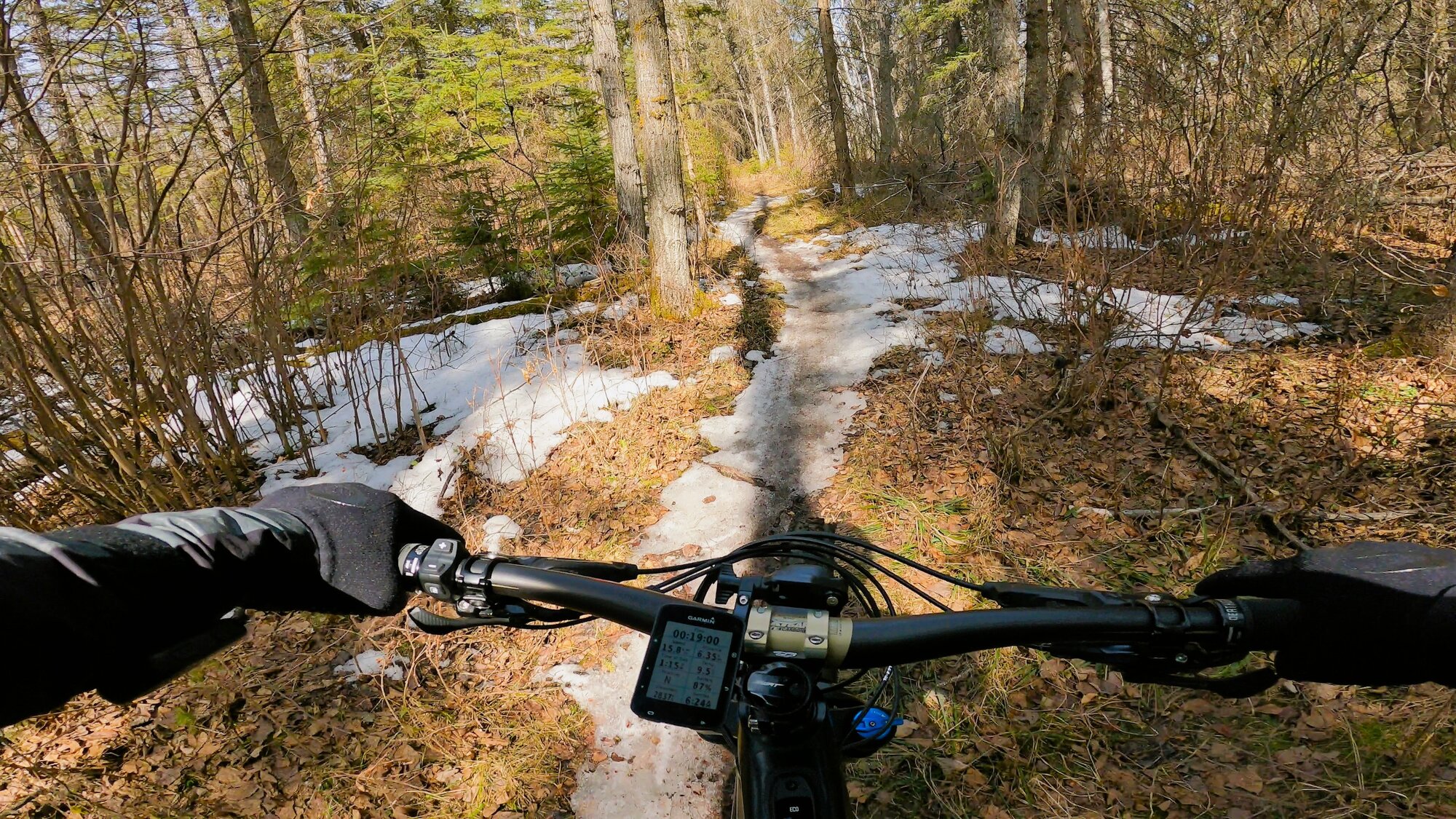 GH011863 - frame at 4m5s.jpg