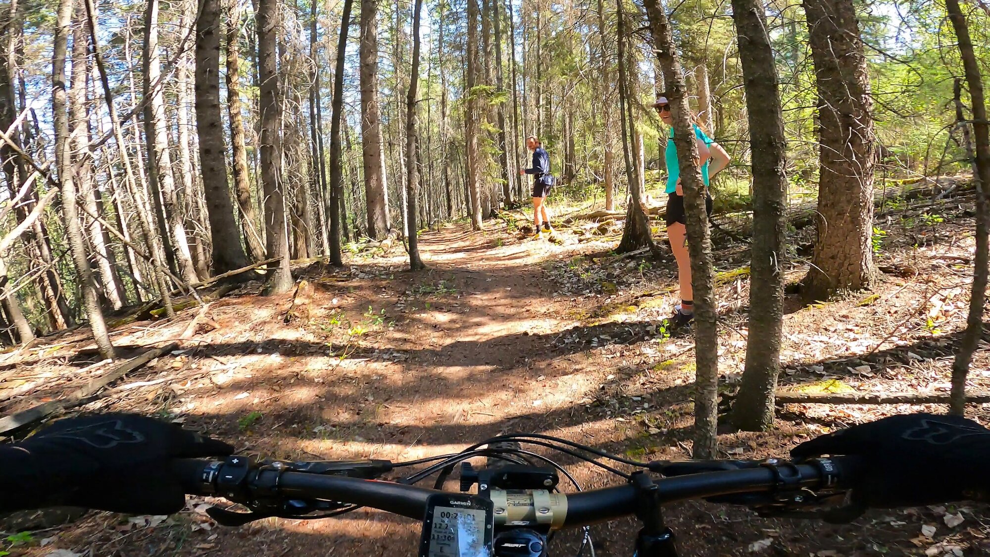 GH011904 - frame at 2m50s.jpg