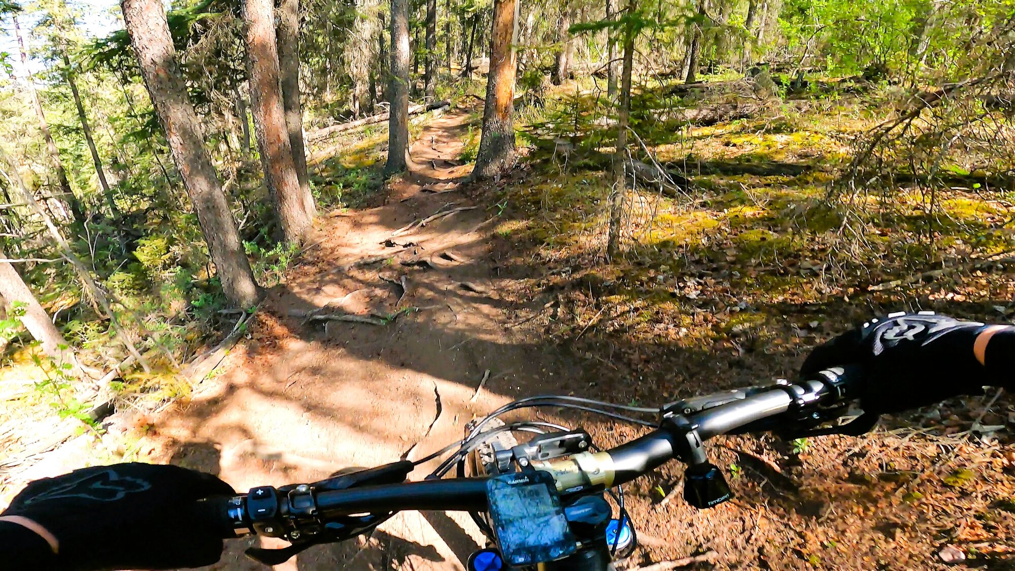 GH011905 - frame at 1m19s.jpg