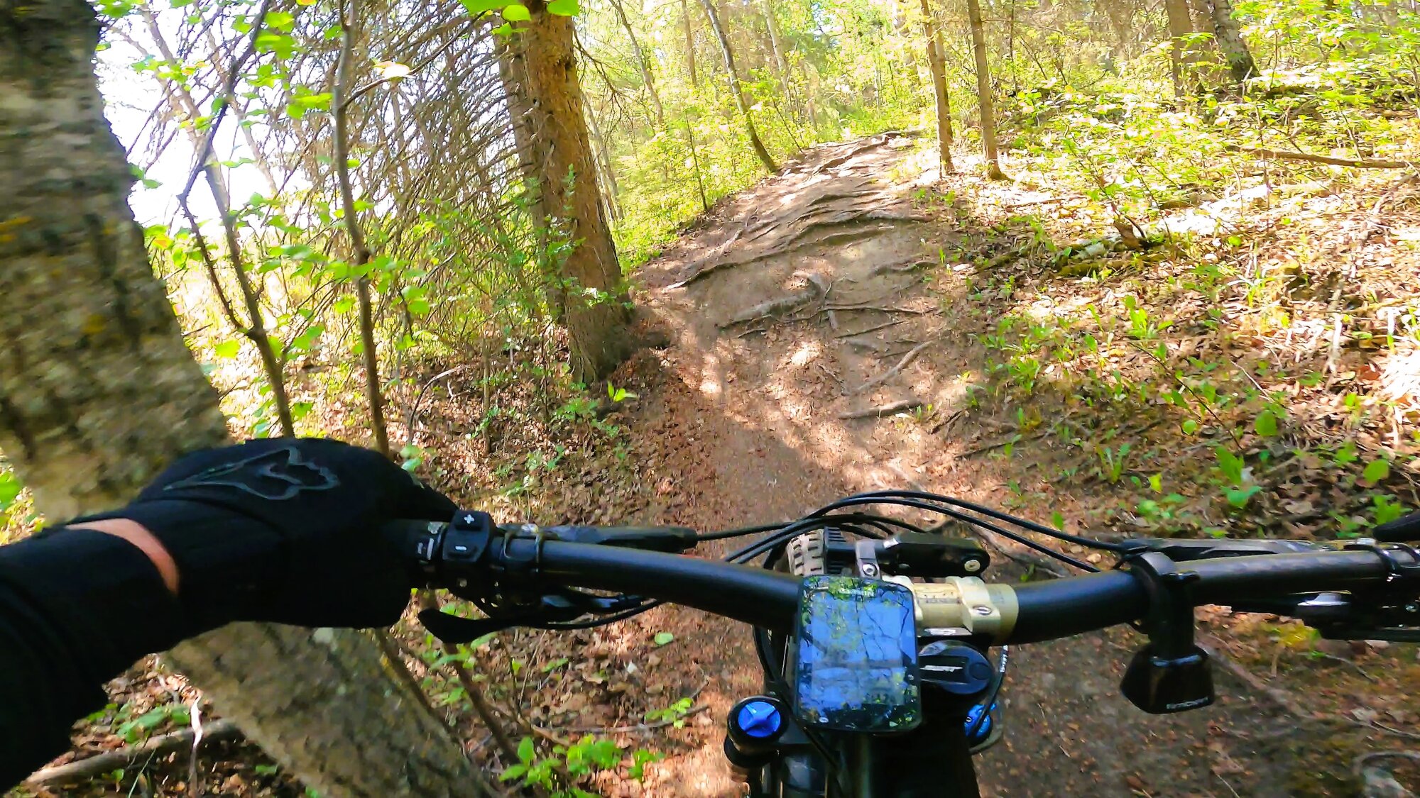 GH011908 - frame at 5m53s.jpg