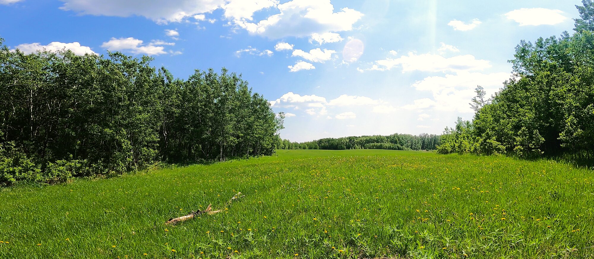 GH011972 - frame at 0m41s.jpg