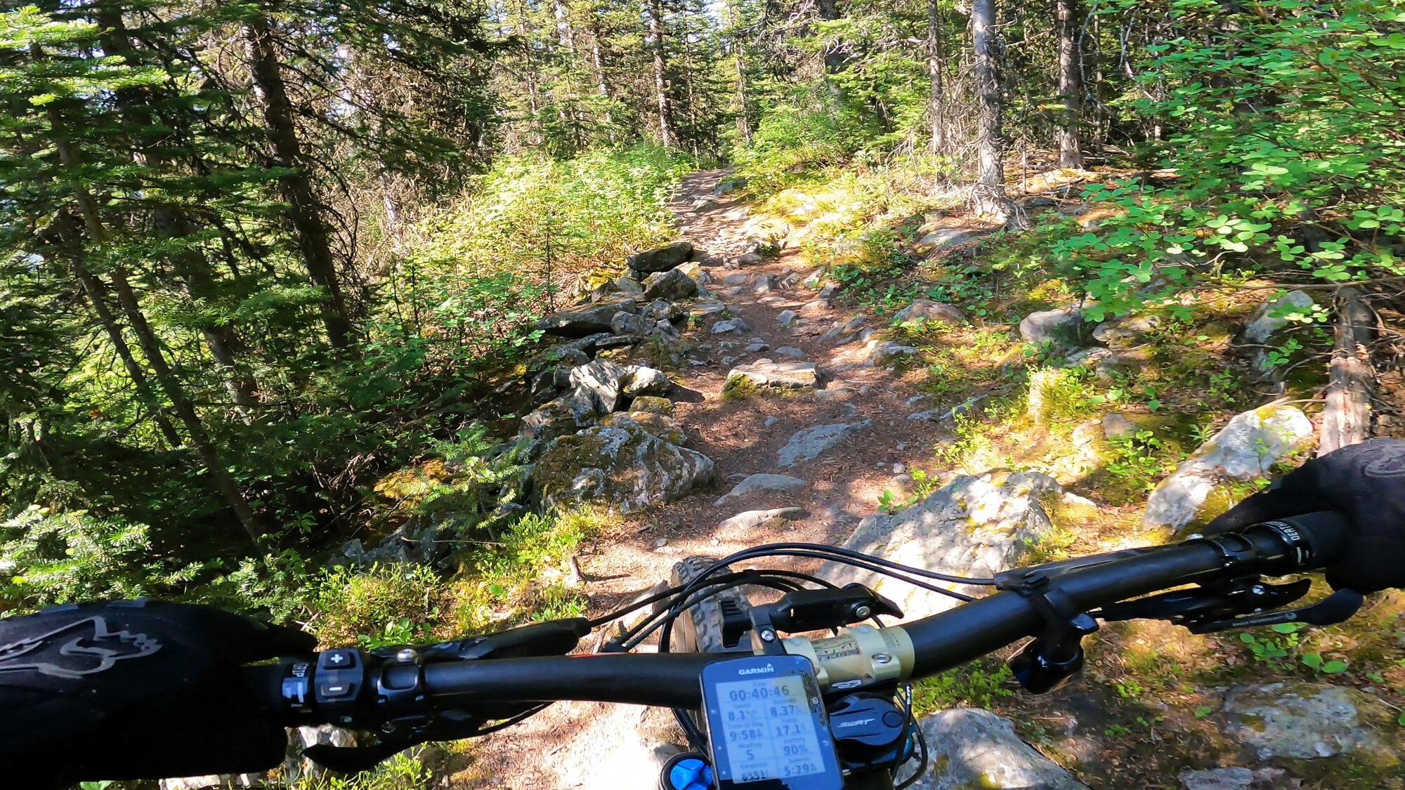 GH012029 - frame at 1m55s.jpg