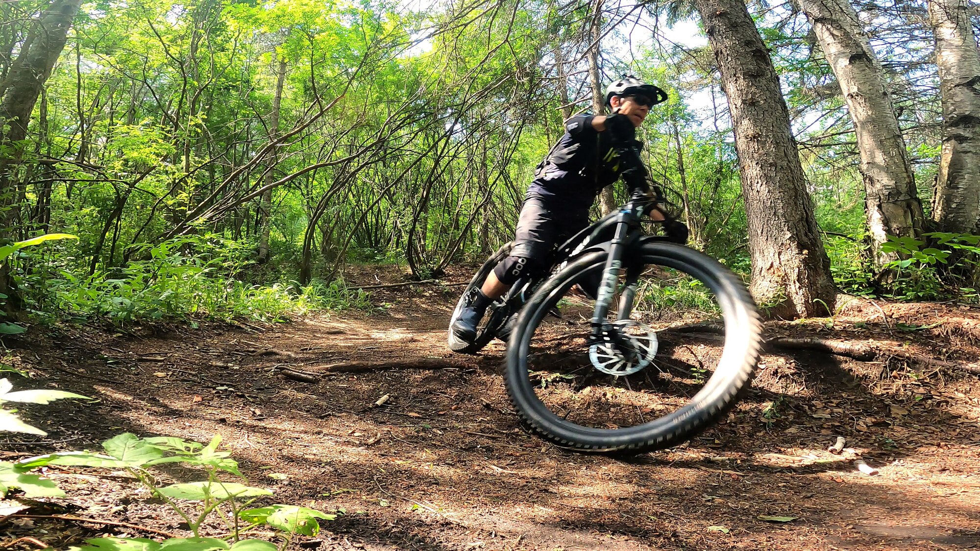 GH012091 - frame at 0m33s.jpg