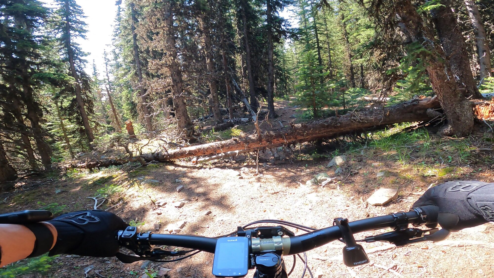 GH012105 - frame at 2m7s.jpg