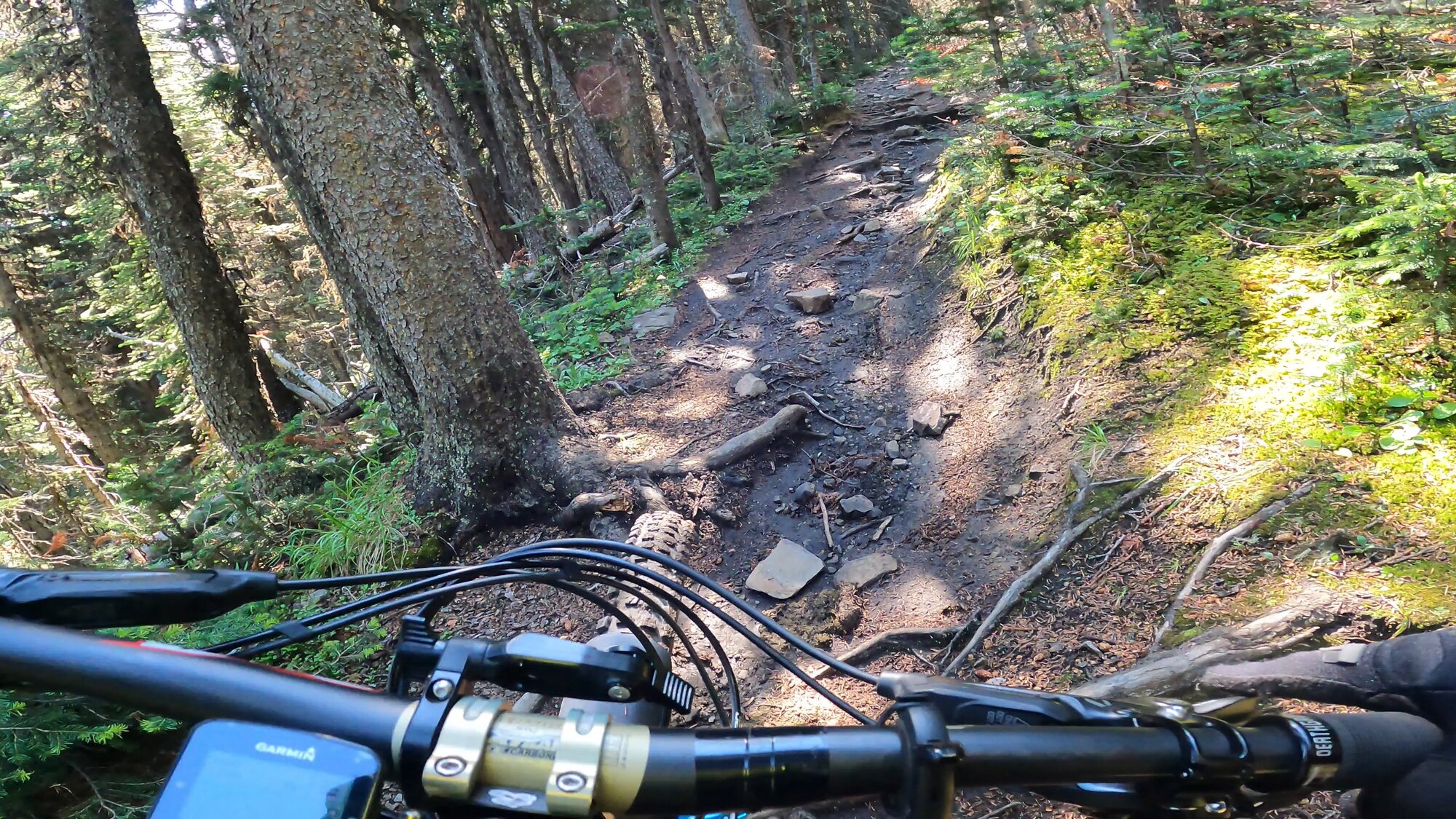 GH012111 - frame at 0m12s.jpg