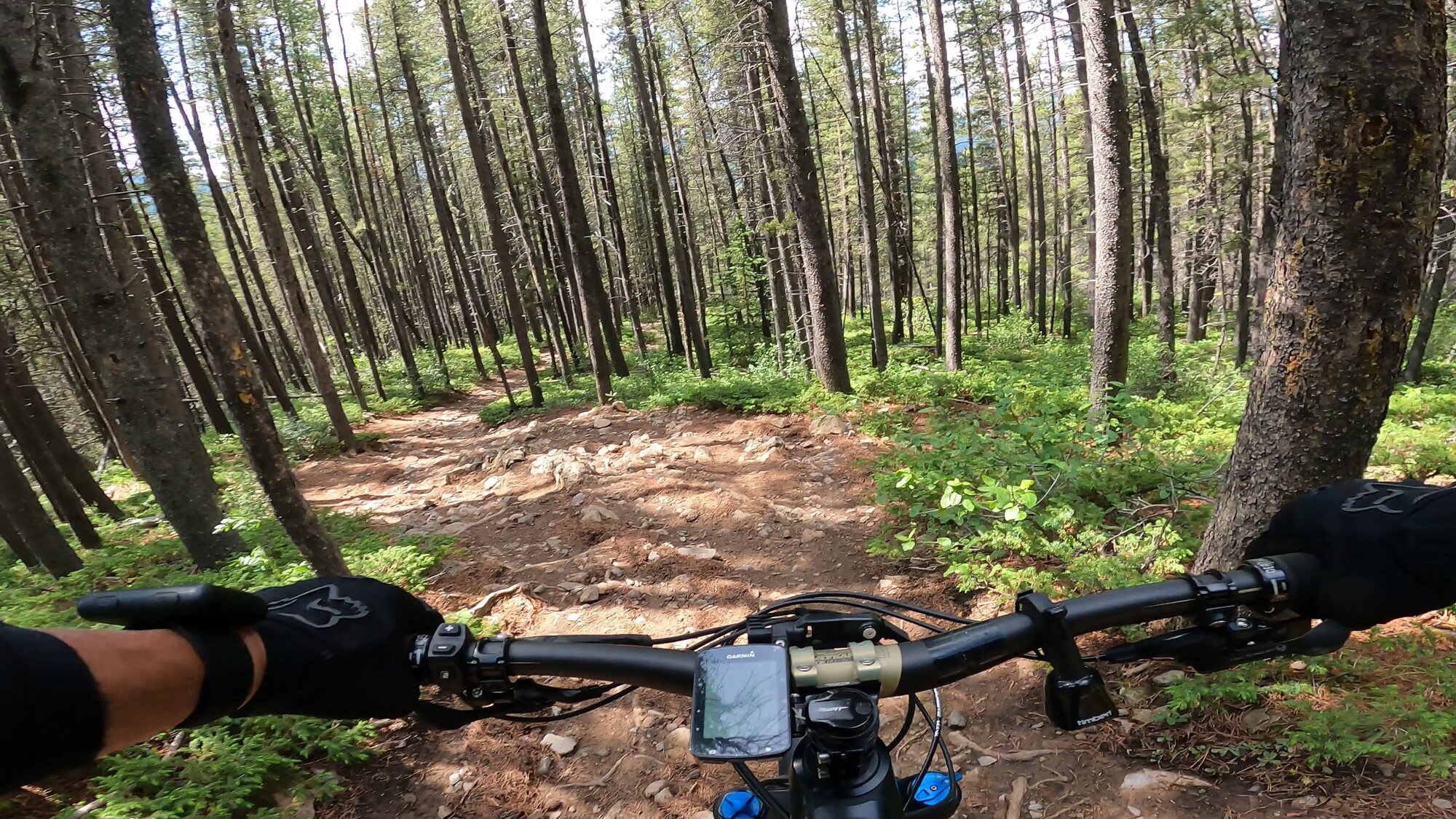 GH012117 - frame at 1m41s.jpg