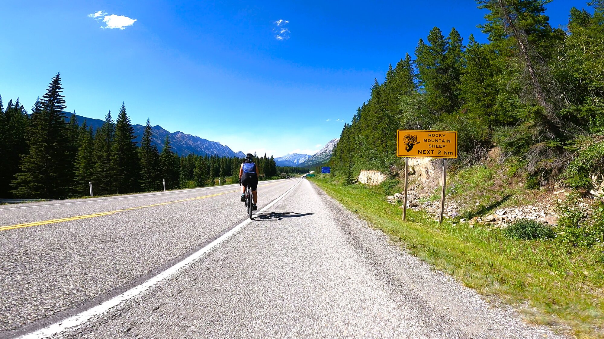 GH012198 - frame at 1m22s.jpg