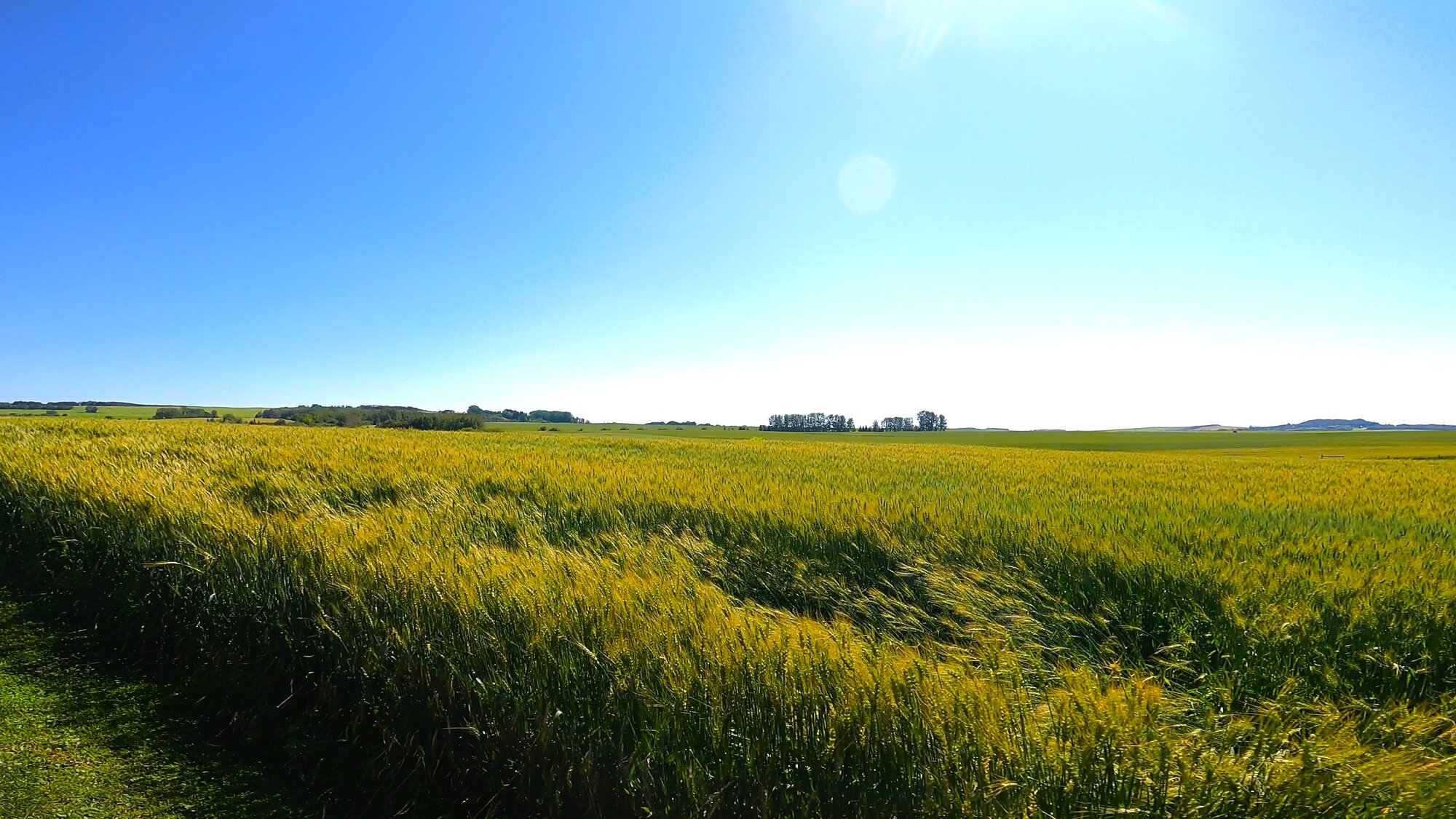 GH012226 - frame at 0m19s.jpg