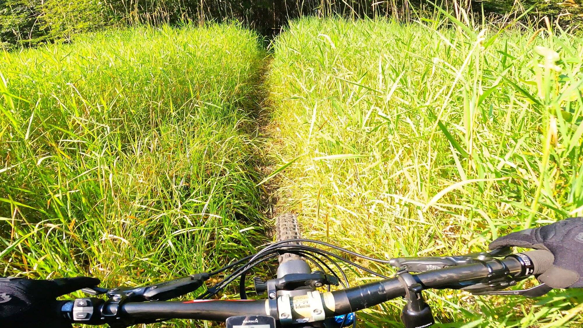 GH012234 - frame at 2m24s.jpg