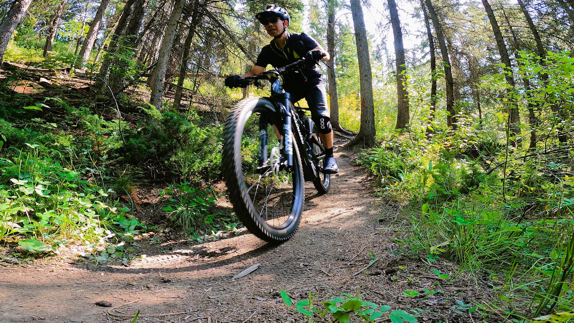 GH012278 - frame at 0m41s.jpg