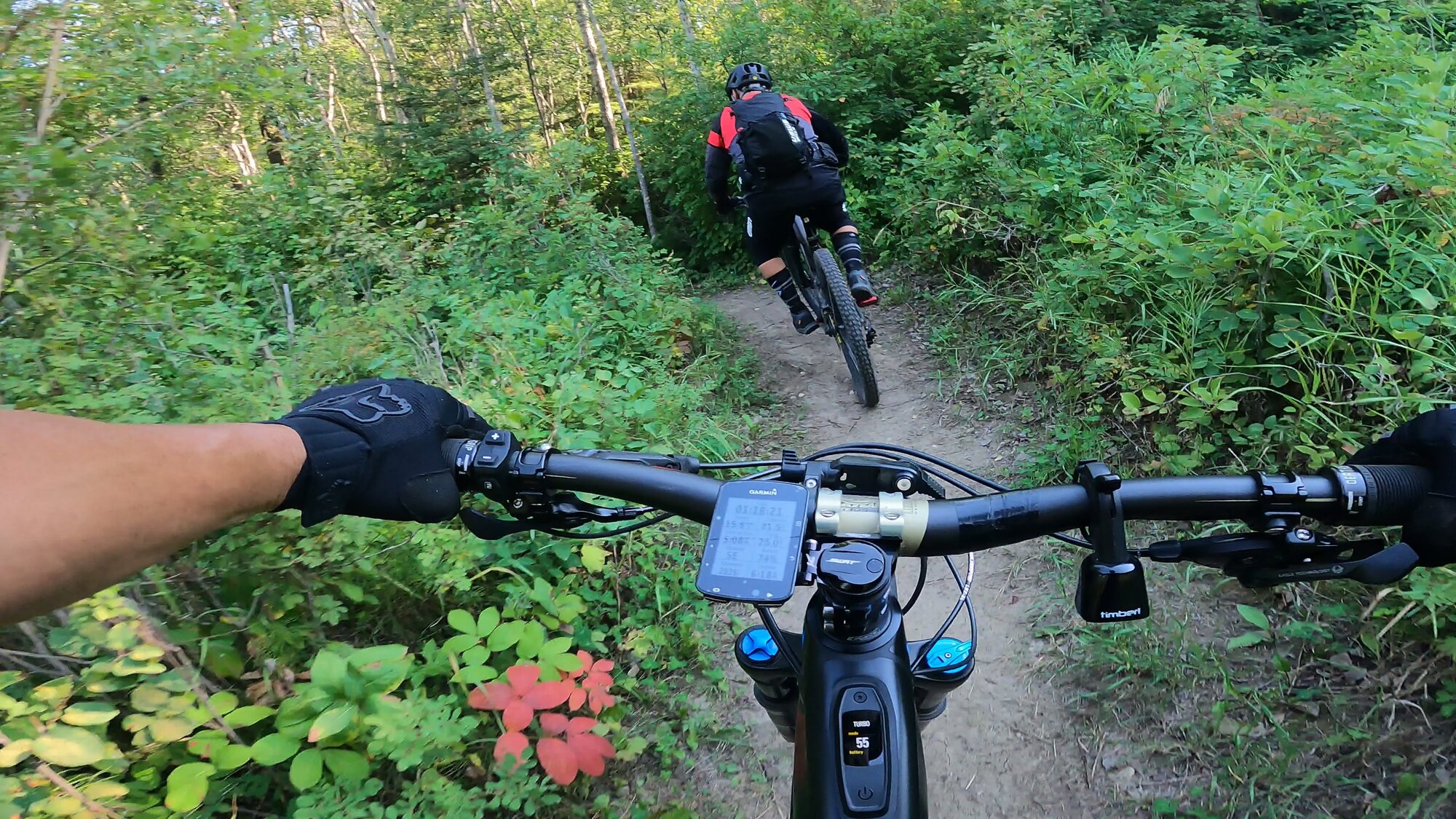 GH012296 - frame at 1m15s.jpg