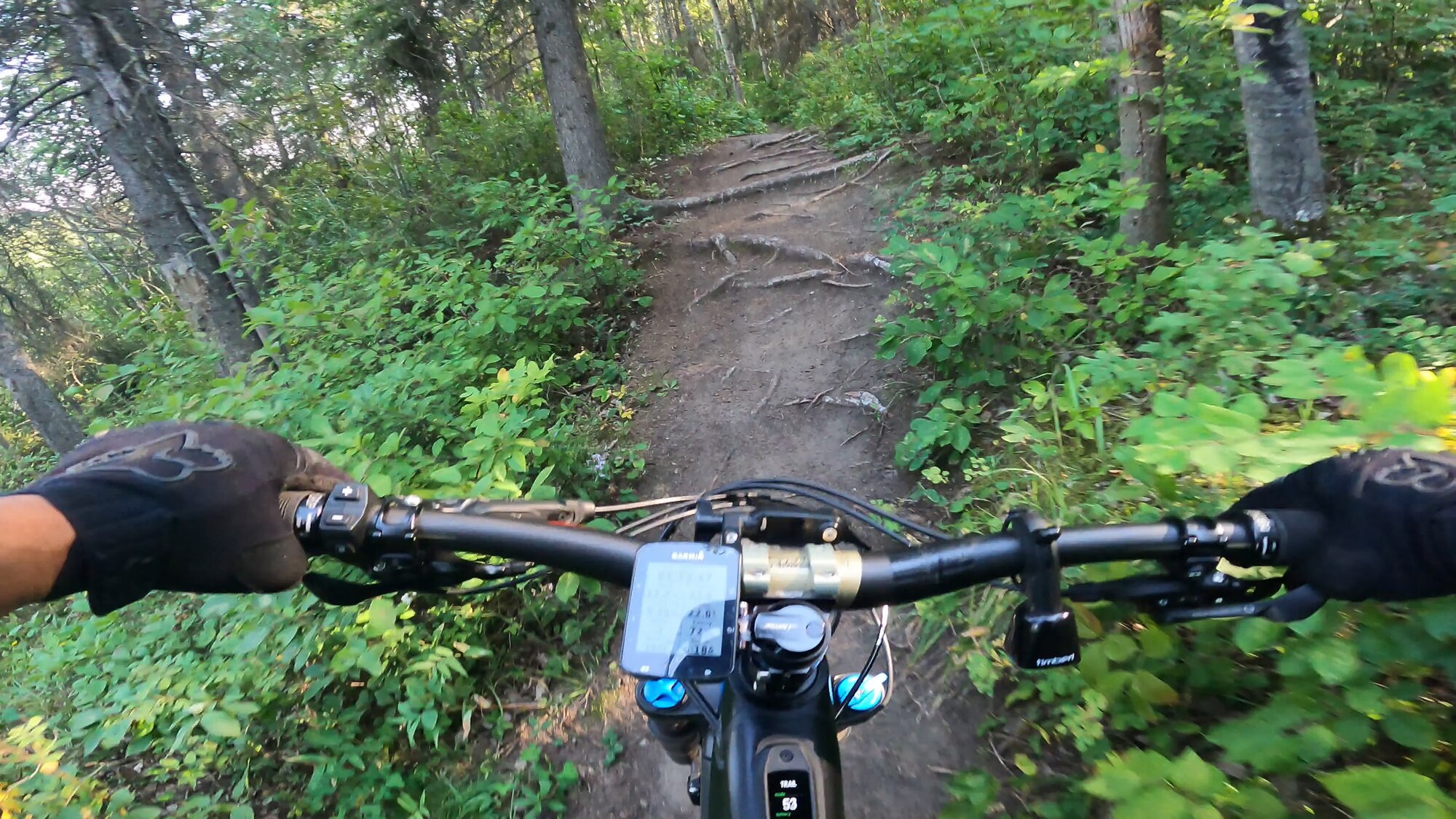 GH012297 - frame at 3m39s.jpg