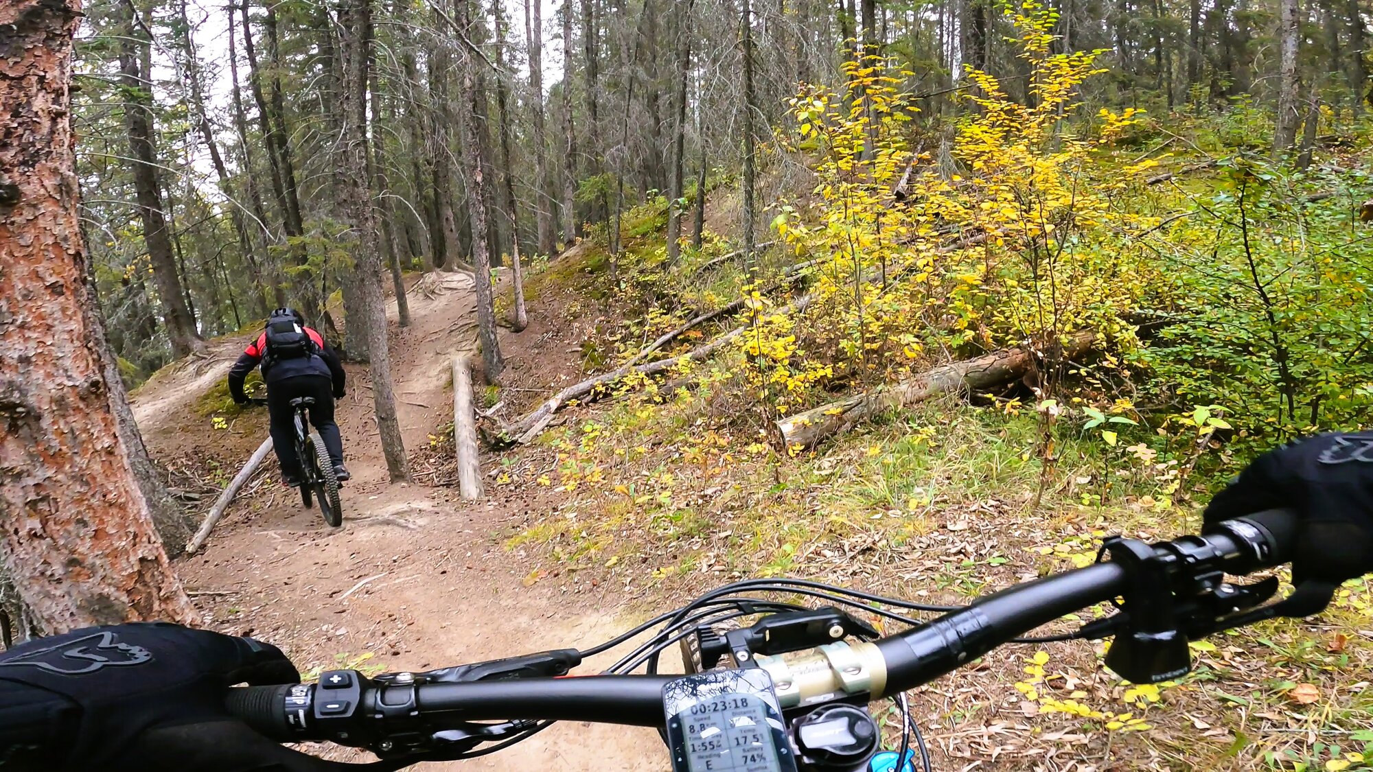 GH012552 - frame at 0m14s.jpg