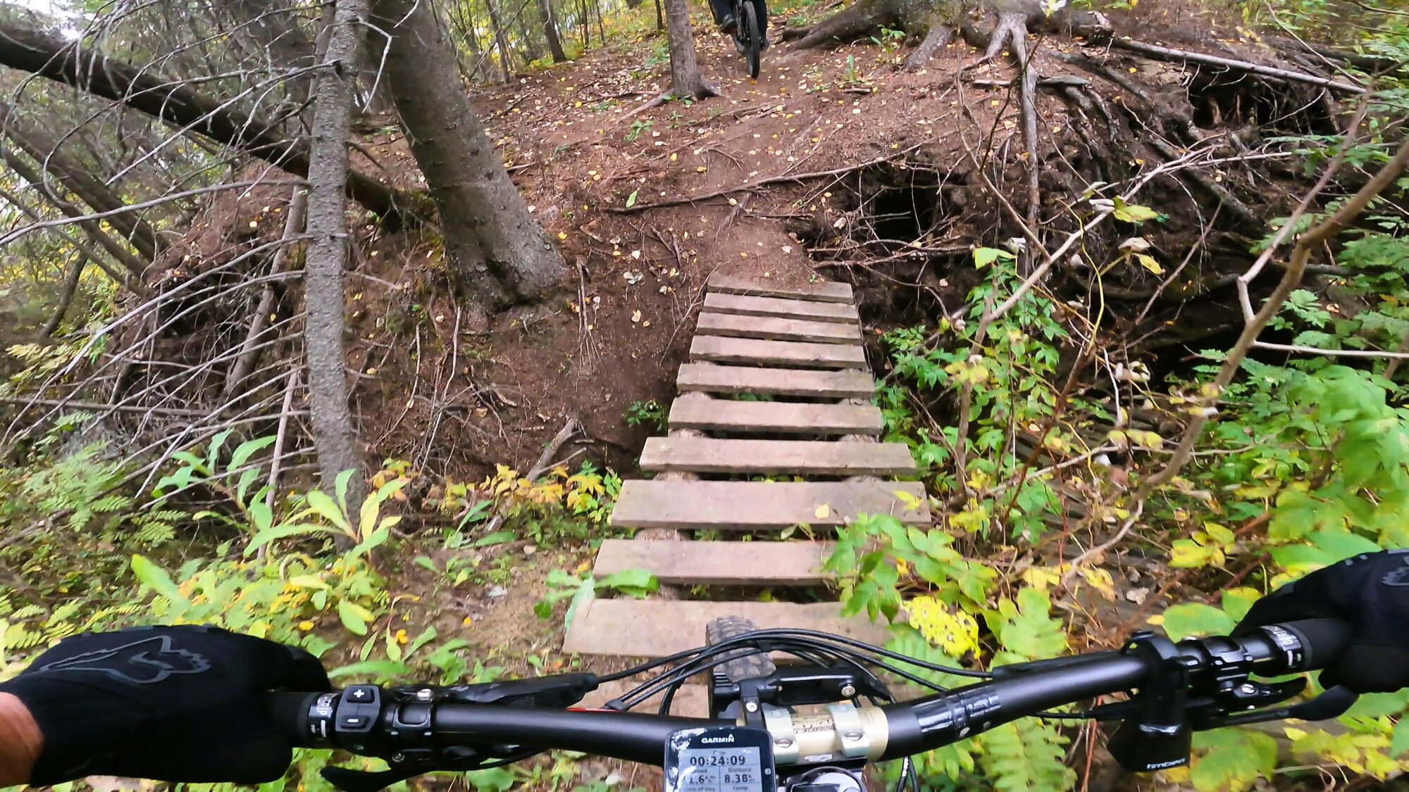 GH012552 - frame at 1m7s.jpg