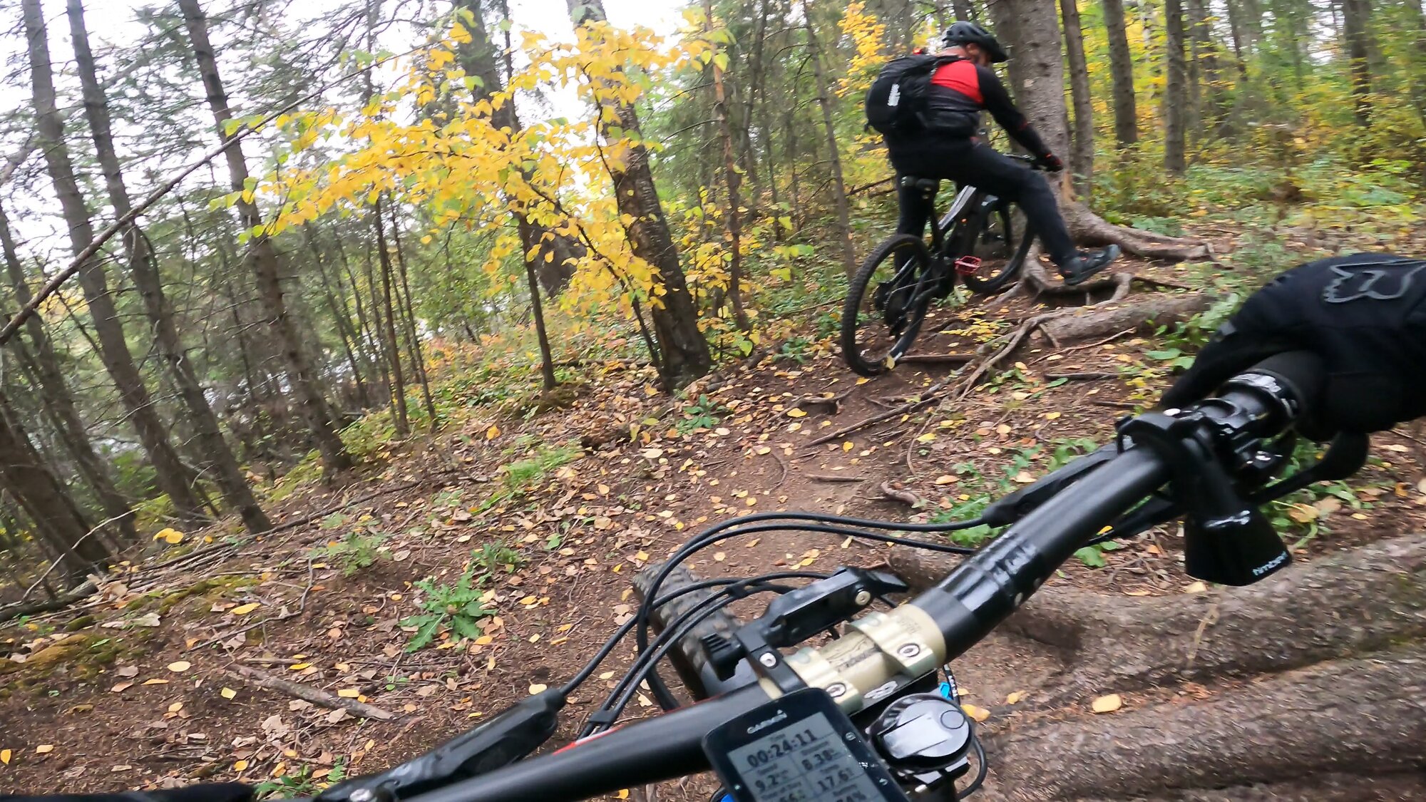 GH012552 - frame at 1m9s.jpg