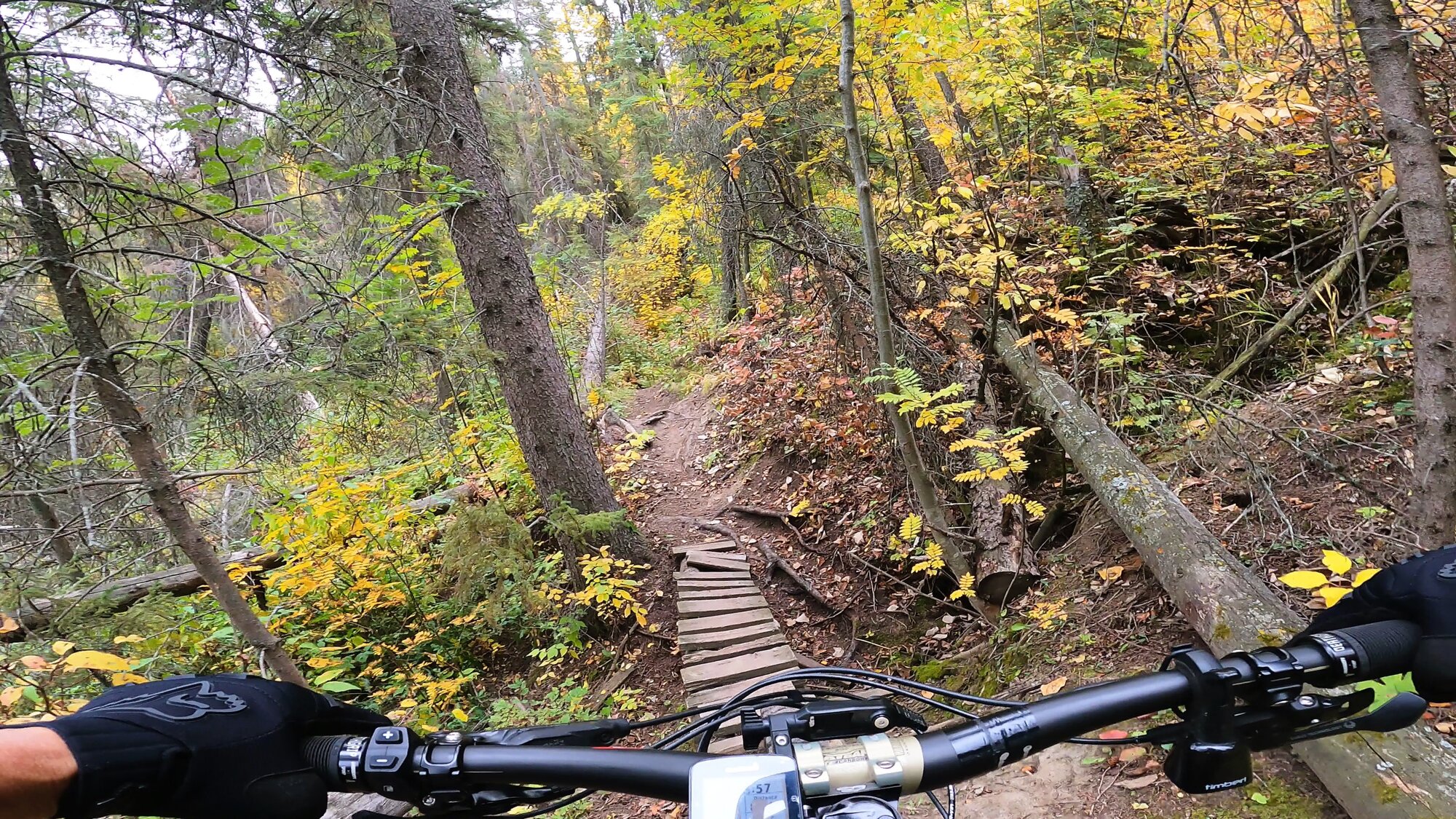 GH012554 - frame at 0m40s.jpg