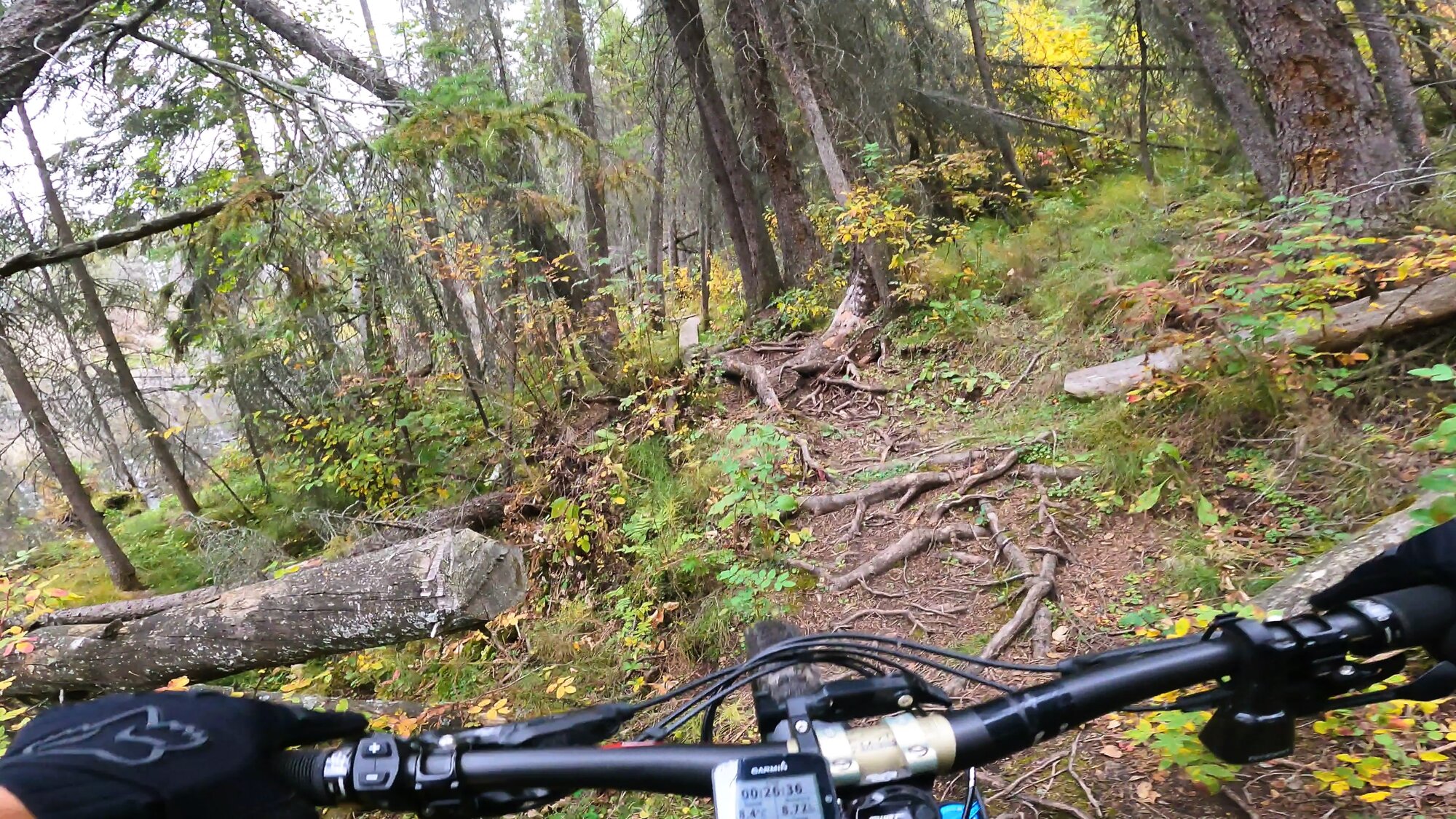 GH012555 - frame at 0m19s.jpg