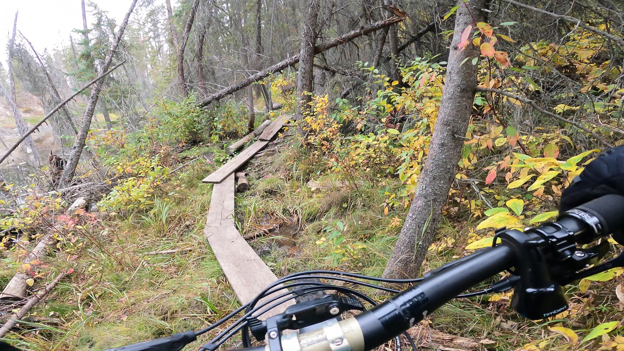 GH012555 - frame at 0m28s.jpg