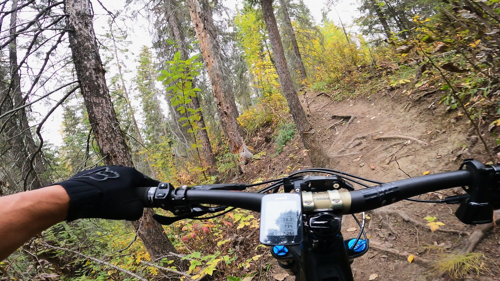 GH012558 - frame at 0m34s.jpg