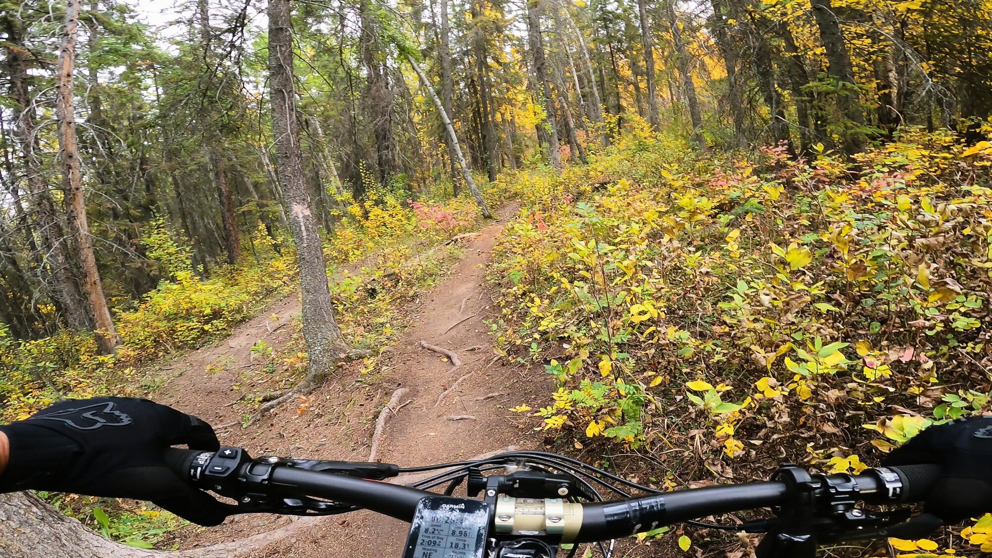 GH012558 - frame at 1m8s.jpg