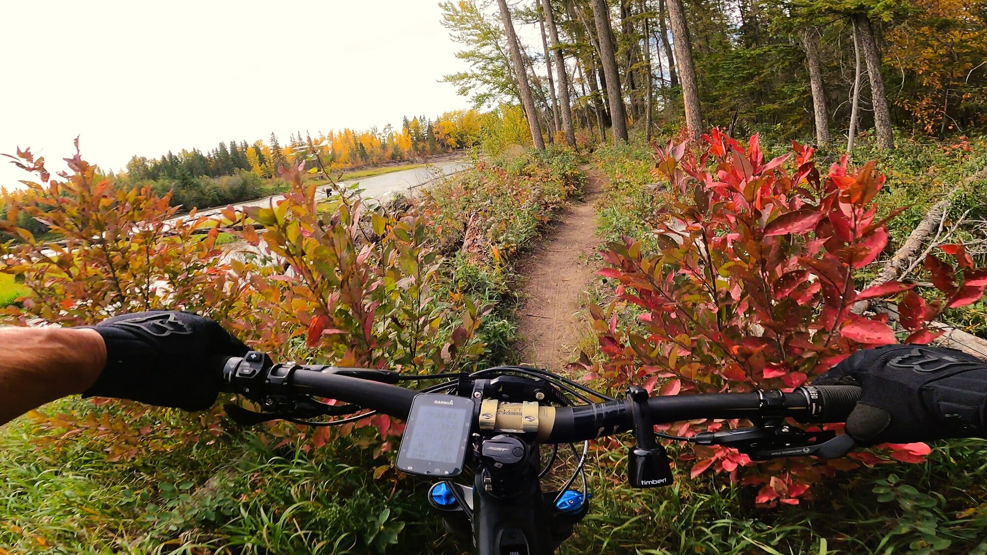 GH012560 - frame at 4m15s.jpg