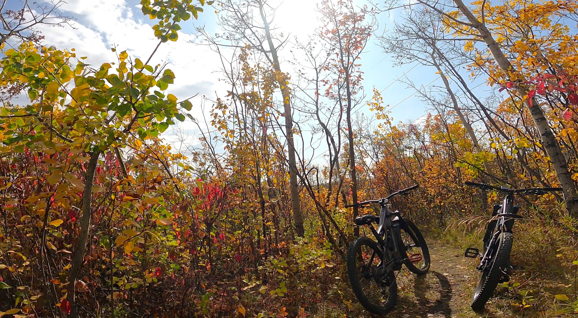 GH012564 - frame at 0m7s.jpg