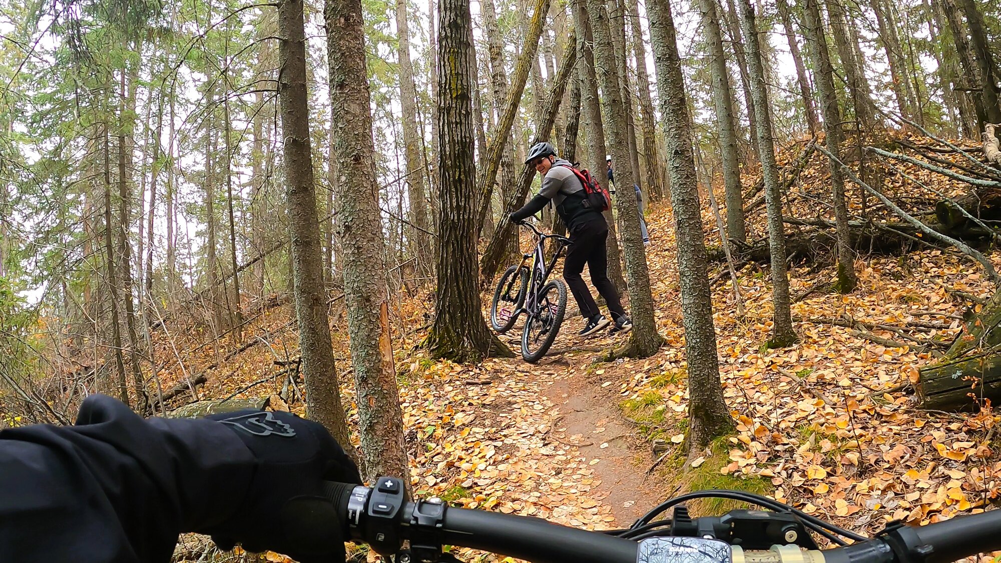 GH012664 - frame at 1m15s.jpg