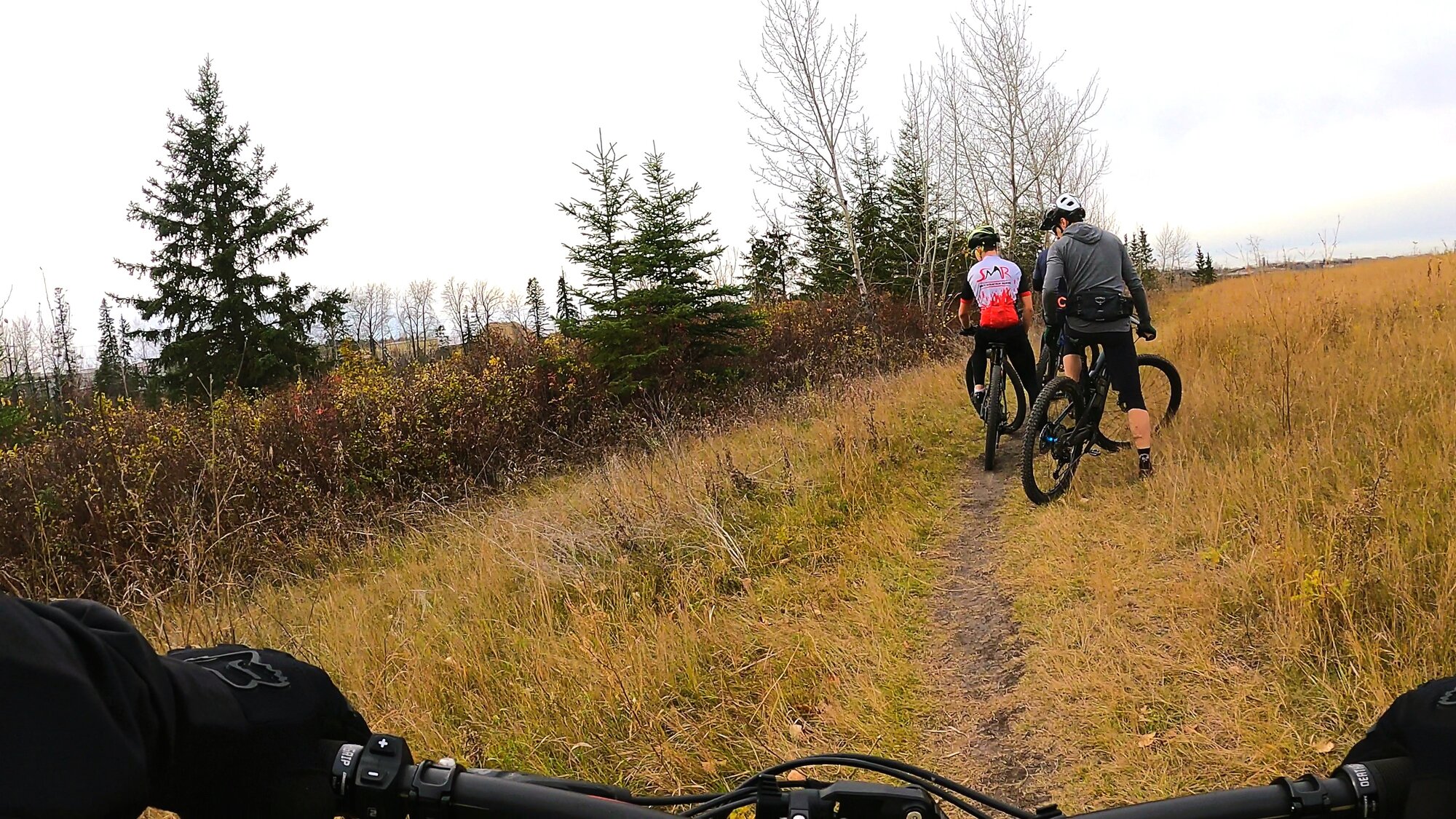 GH012665 - frame at 0m0s.jpg