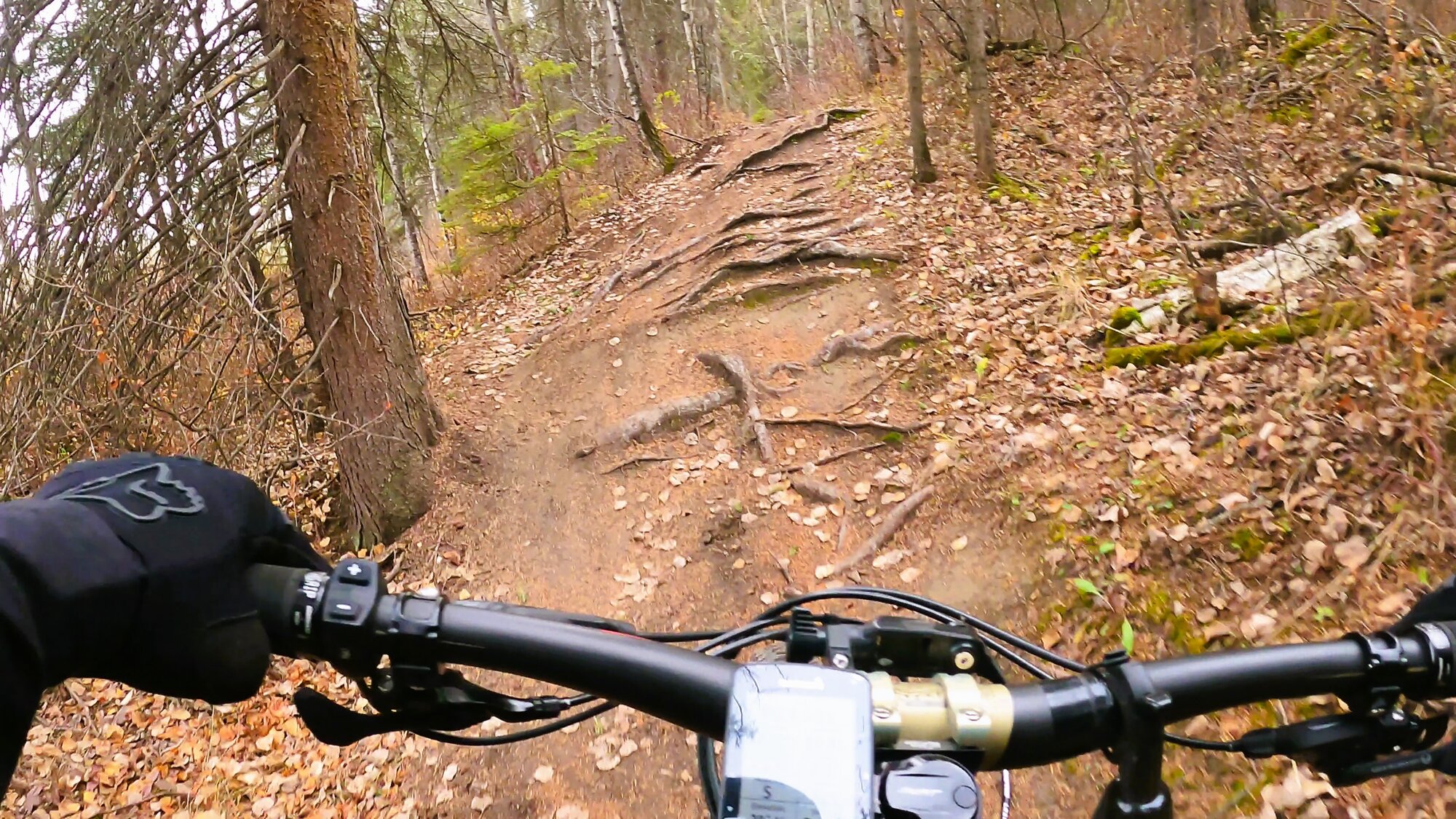 GH012669 - frame at 5m52s.jpg