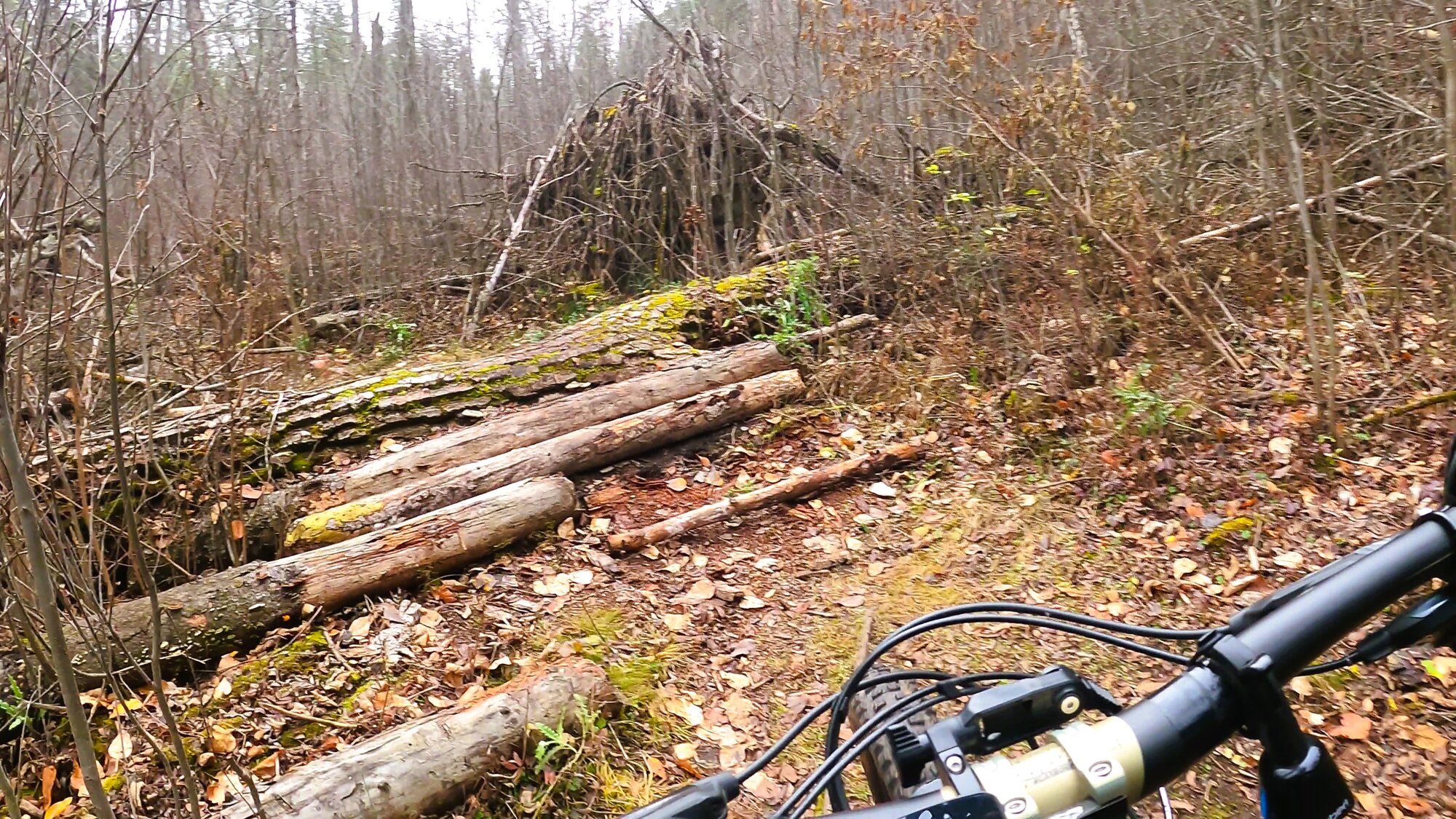 GH012692 - frame at 1m56s.jpg