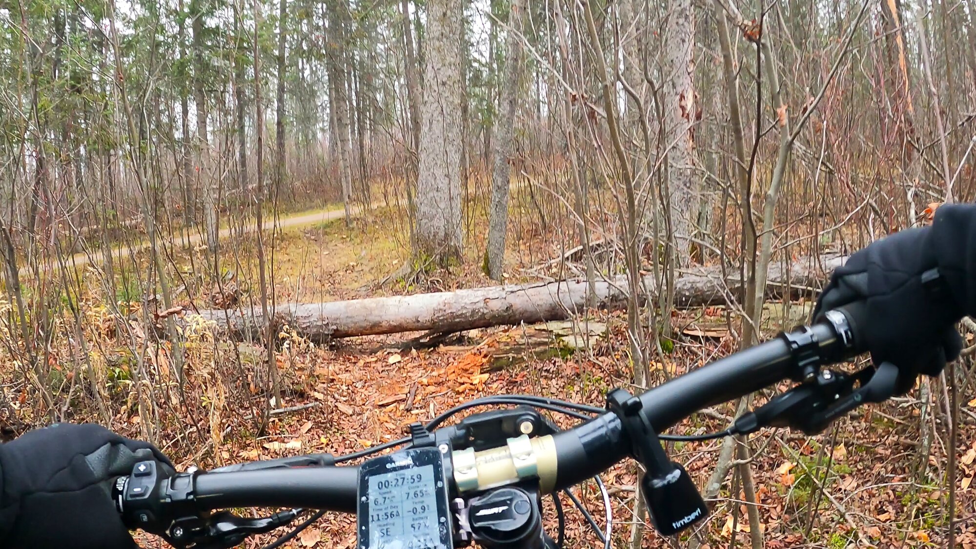 GH012692 - frame at 2m36s.jpg