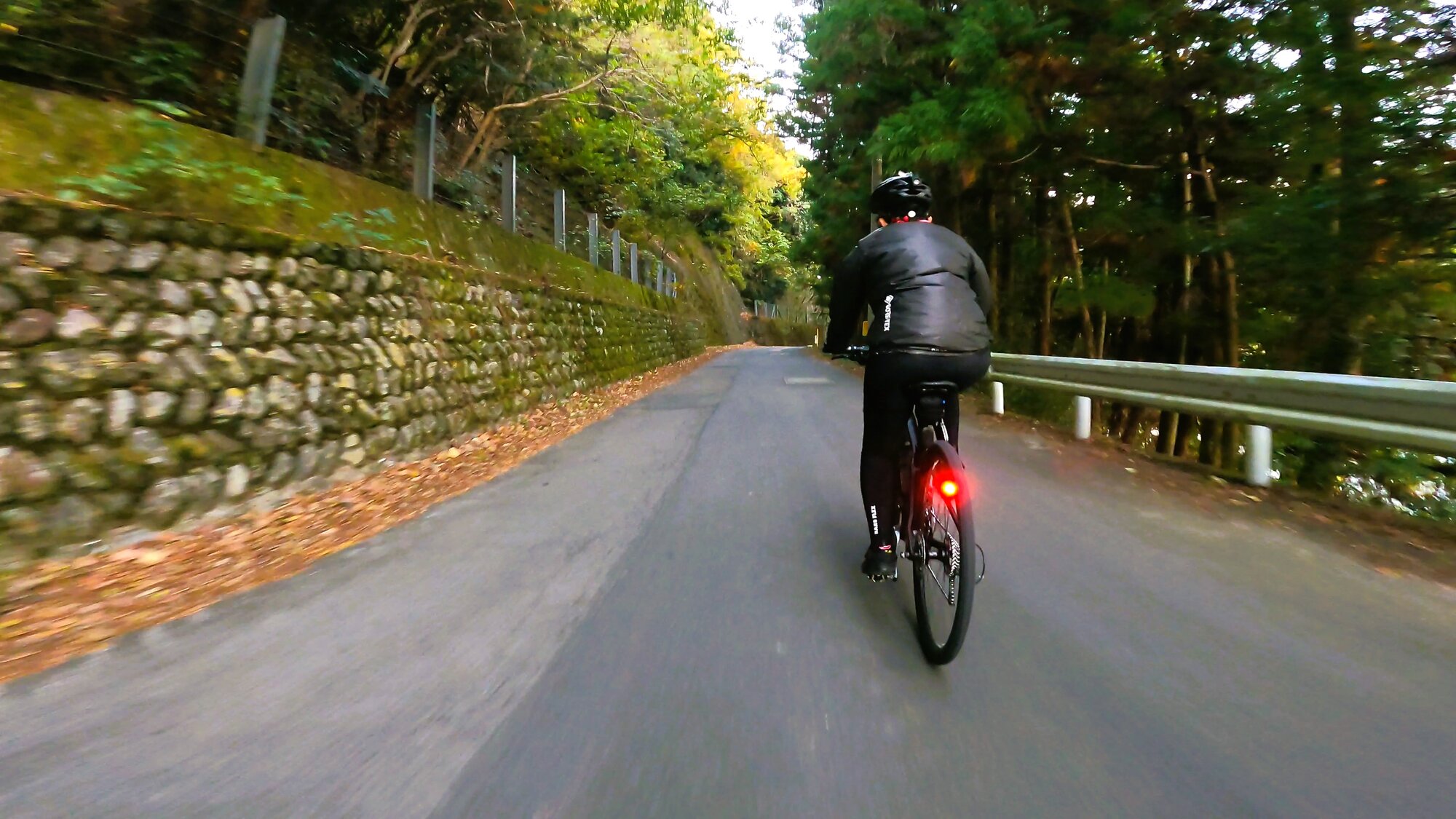 GH012767 - frame at 1m10s.jpg