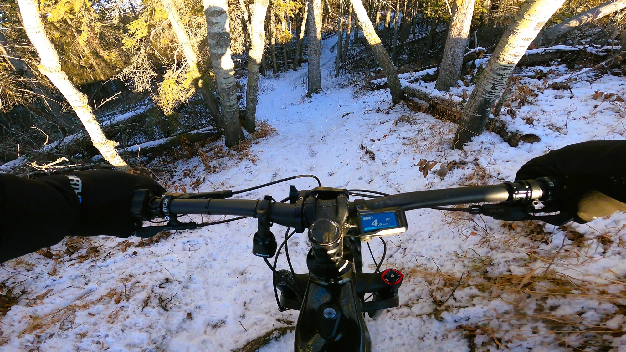 GH013042 - frame at 0m28s.jpg