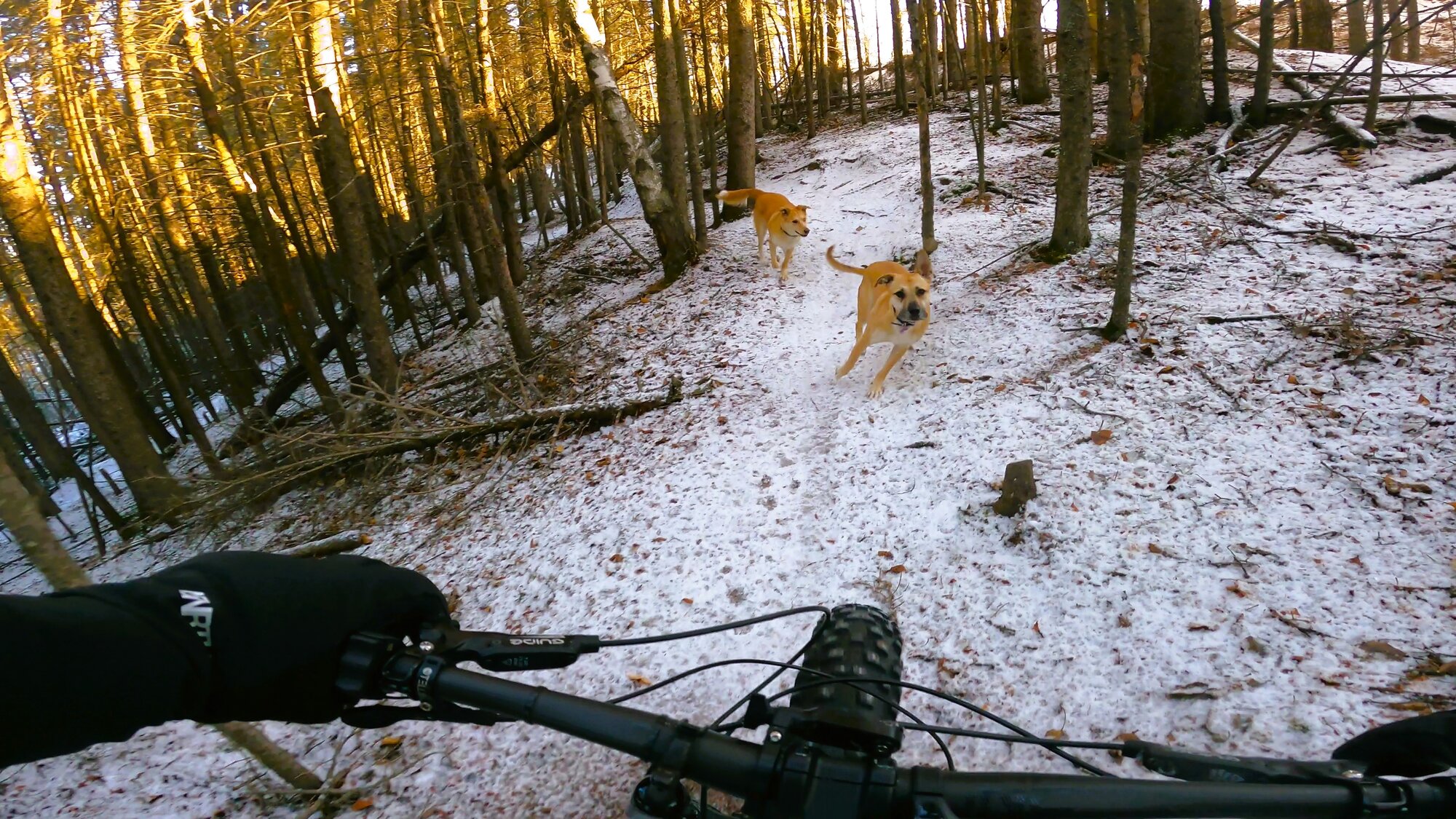 GH013042 - frame at 2m36s.jpg