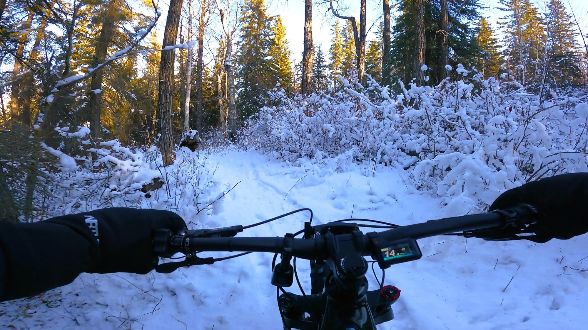 GH013042 - frame at 4m7s.jpg