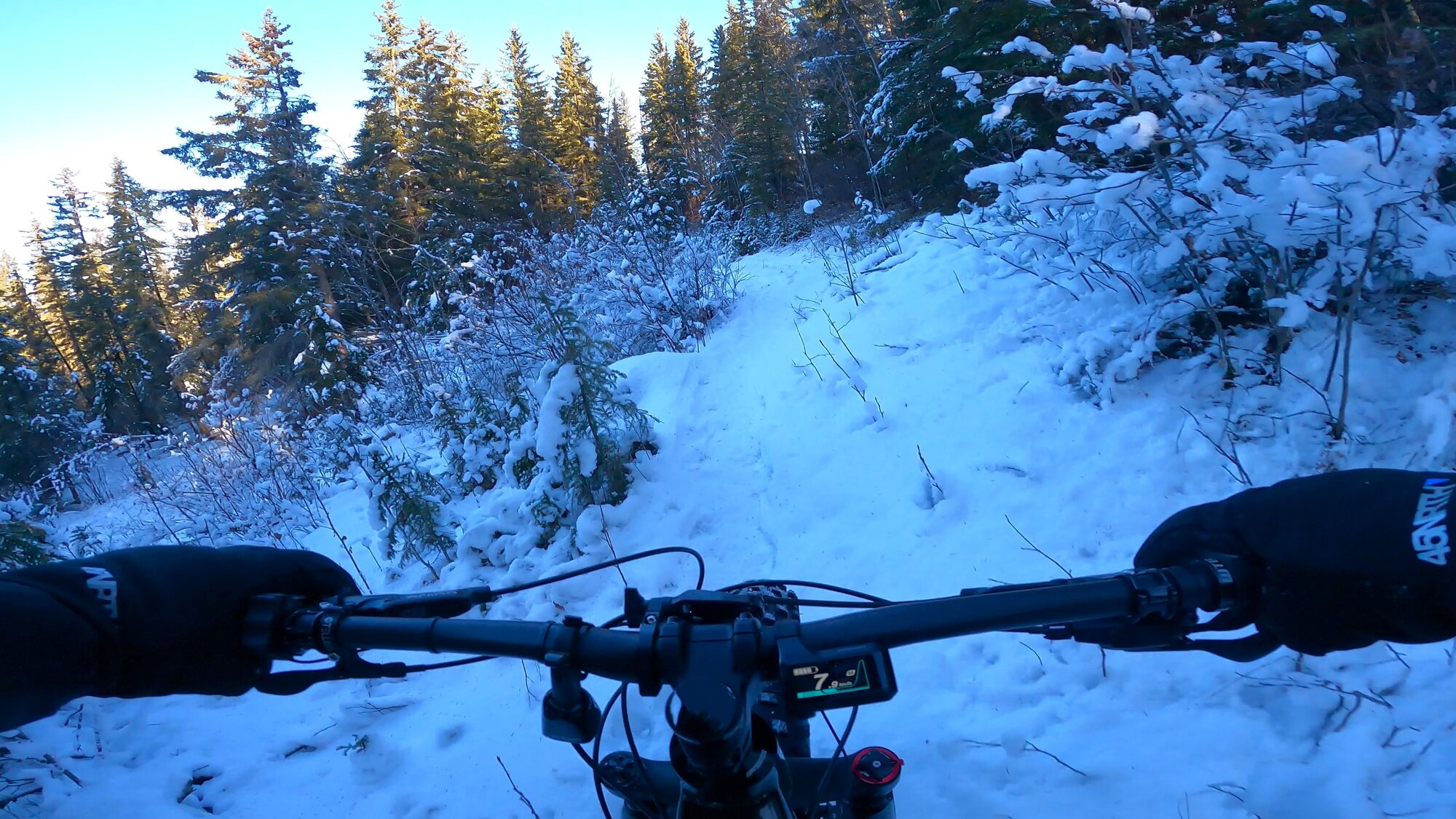 GH013042 - frame at 5m35s.jpg