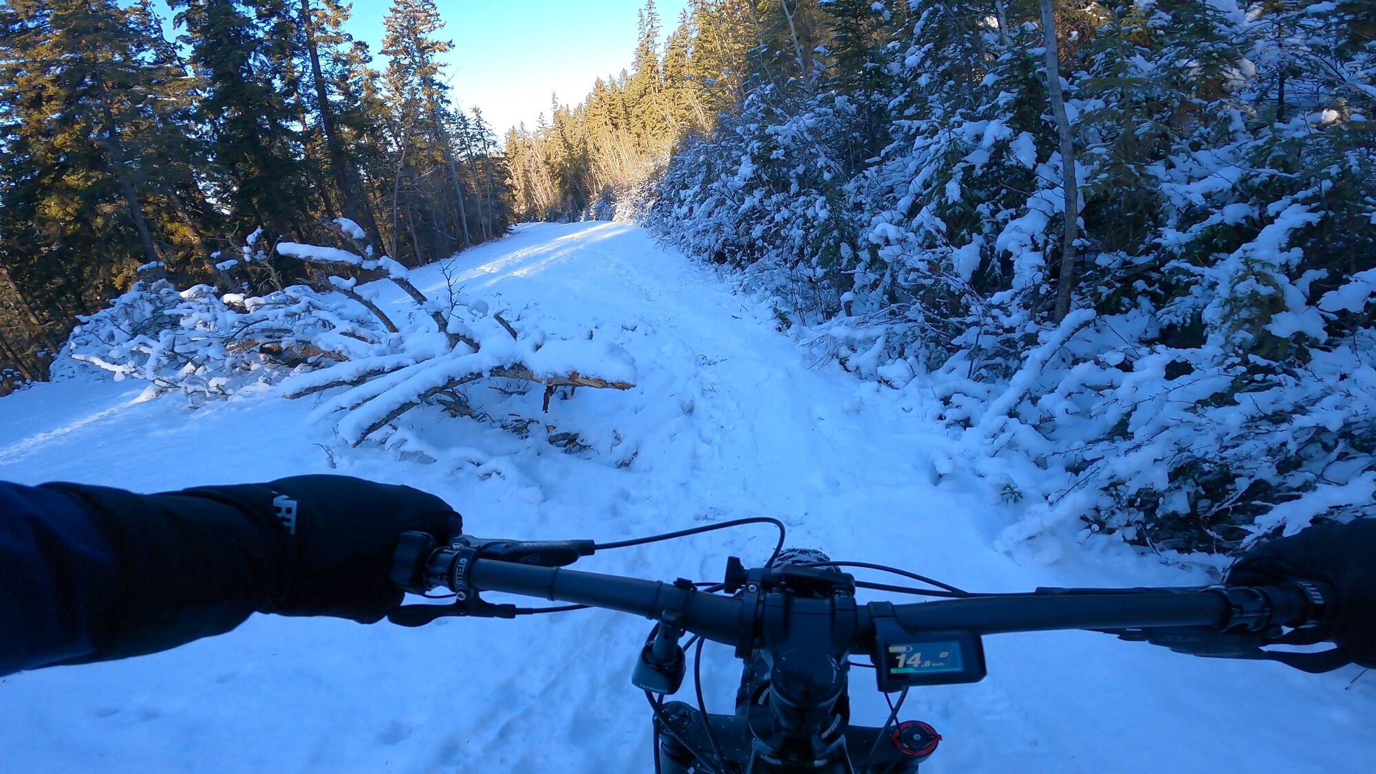 GH013043 - frame at 2m42s.jpg