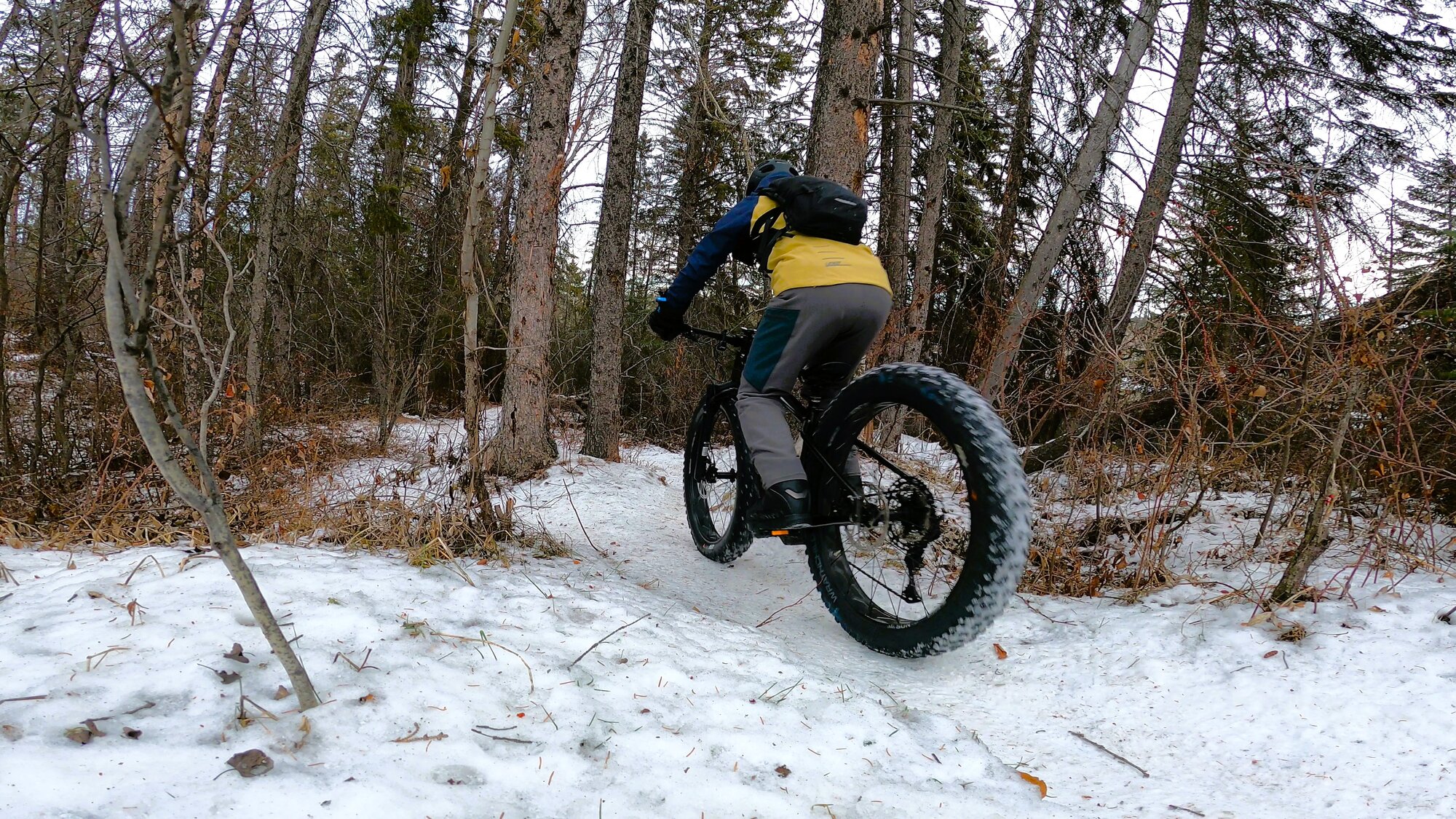 GH013069 - frame at 0m37s.jpg